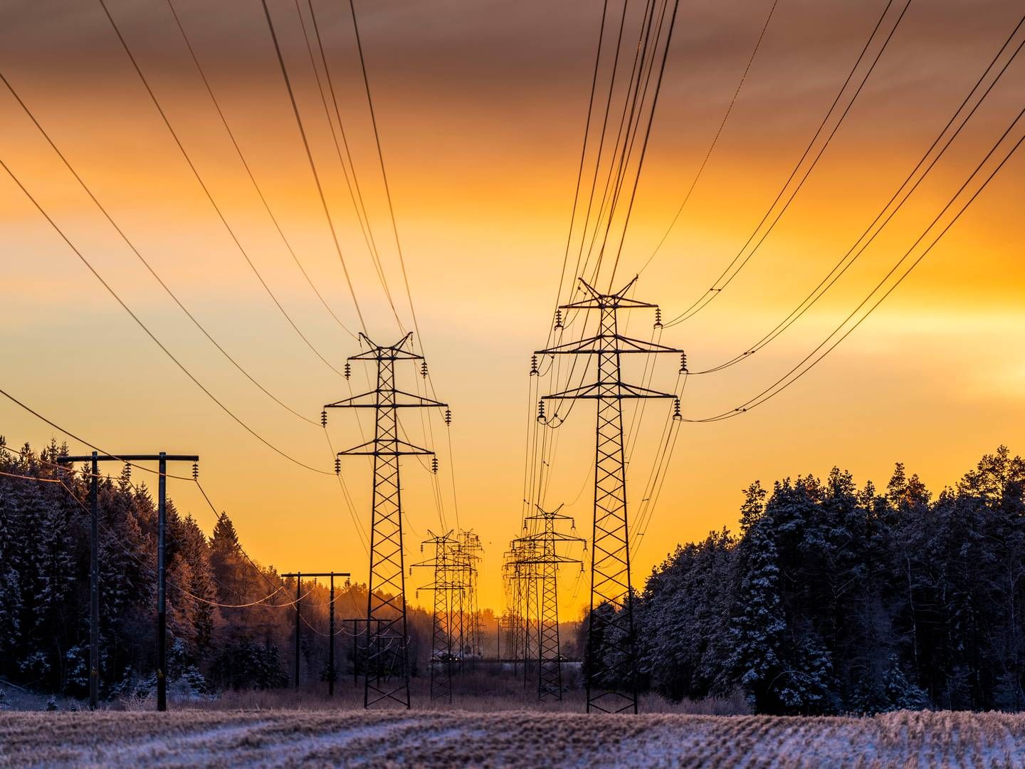 FRIKOBLE STRØMPRISER: Rødt vil ha en plan for å frikoble strømprisen fra europeiske gasspriser. | Foto: Håkon Mosvold Larsen / NTB