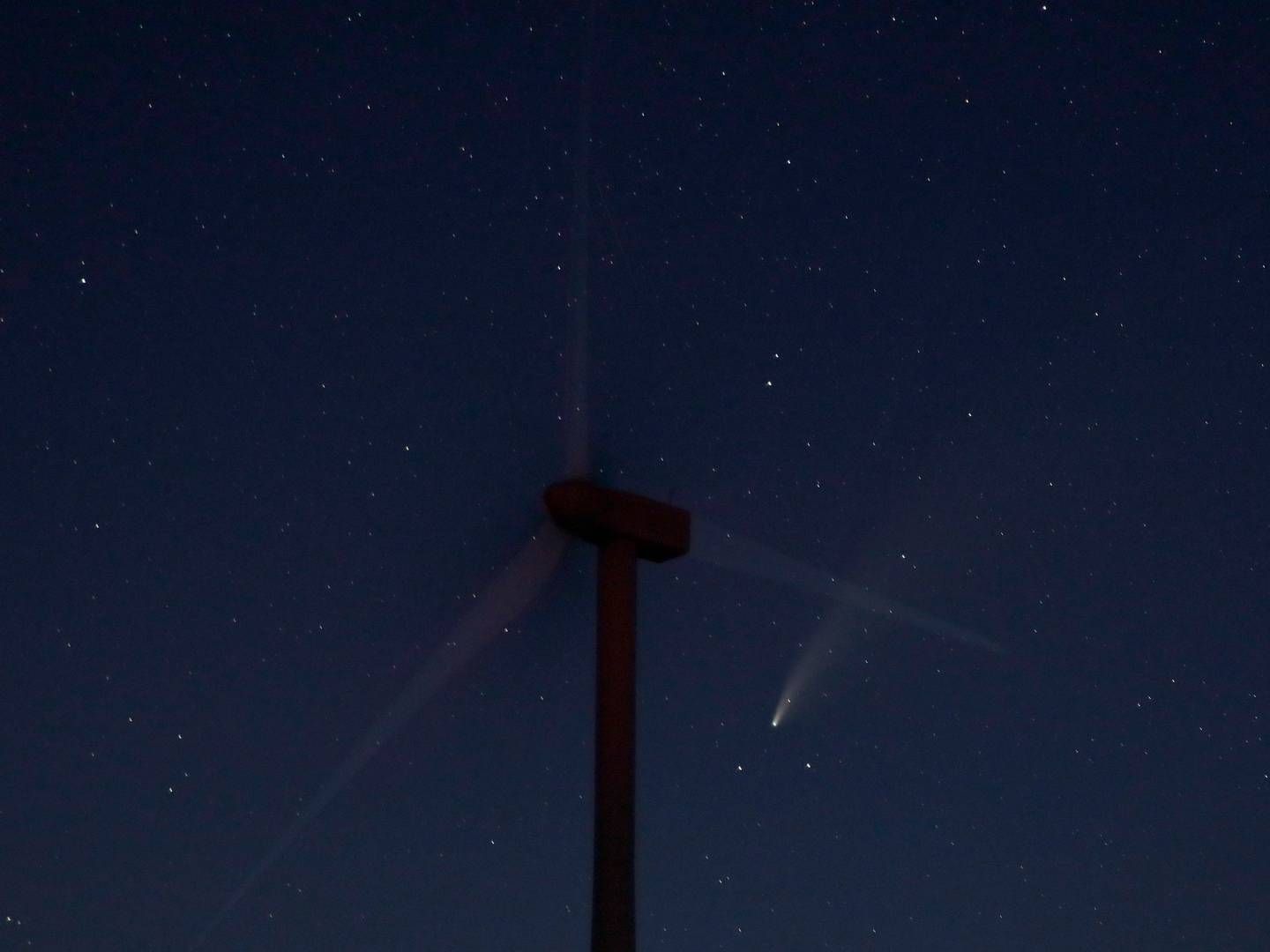 Der kan skimtes et lys langt borte - i dette tilfælde kometen Neowise | Foto: Charlie Riedel/AP/Ritzau Scanpix