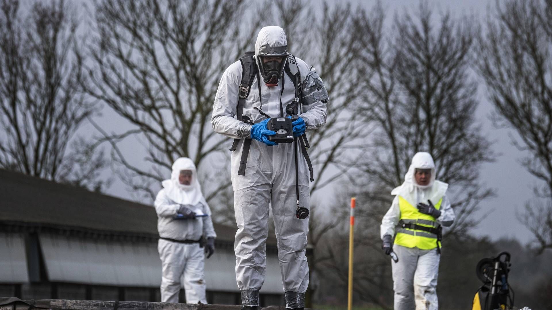 Fugleinfluenza frygtes i hele Europa. | Foto: Per Rasmussen