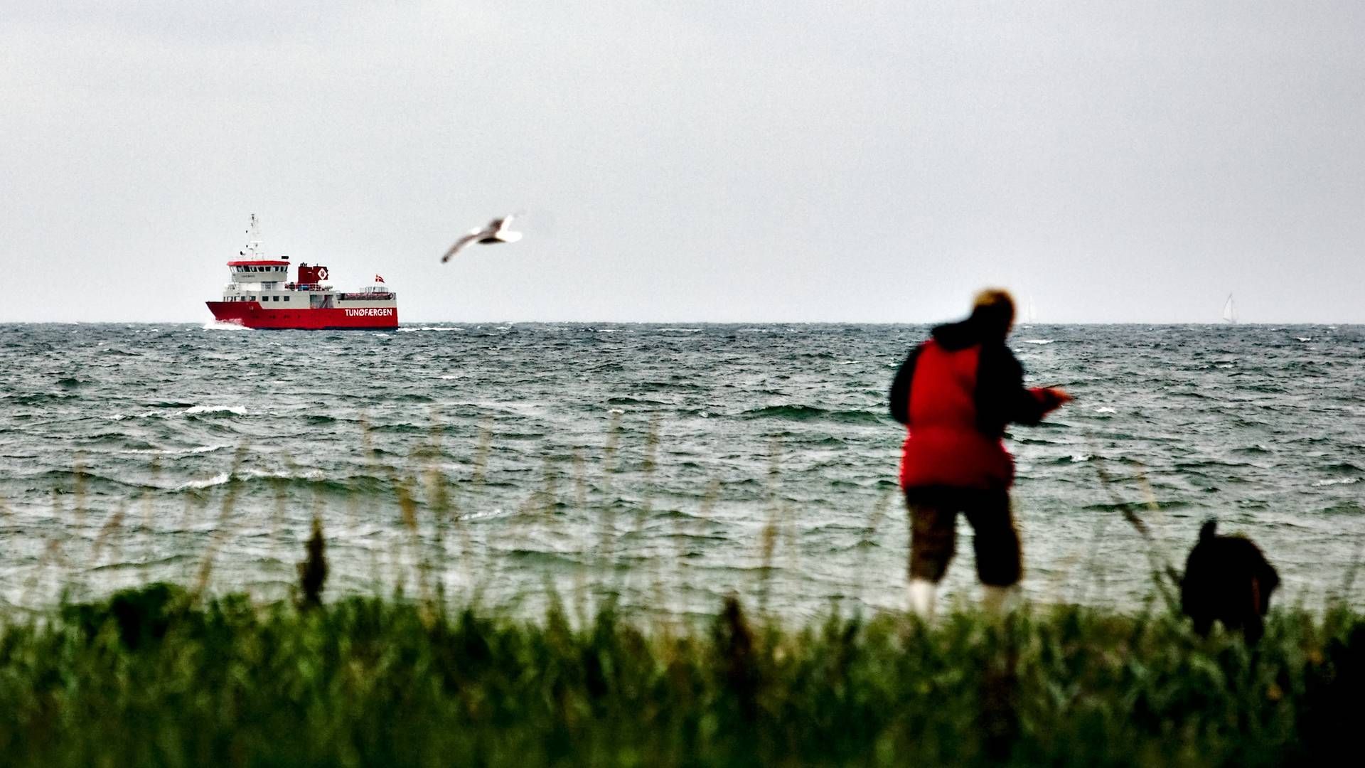 Foto: Ole Lind/Jyllands-Posten/Ritzau Scanpix