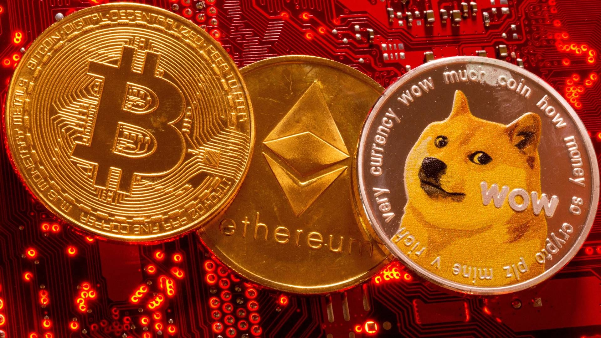 Bør kryptovalutaer som bitcoin, ethereum og dogecoin reguleres? ECB er tilsyneladende uenige. | Foto: Dado Ruvic