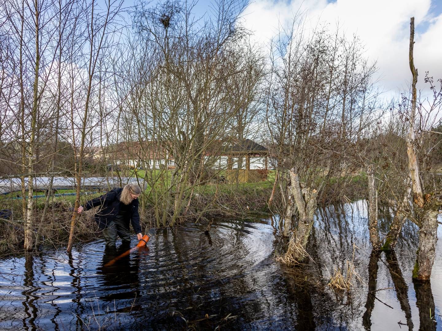 Oversvømmelser af åer og vandløb - her Gudenåen - kan meget vel blive mere almindeligt i fremtiden. Brancheorganisationen F&P opfordrer til øget fokus på forebyggelse. | Foto: Joachim Ladefoged