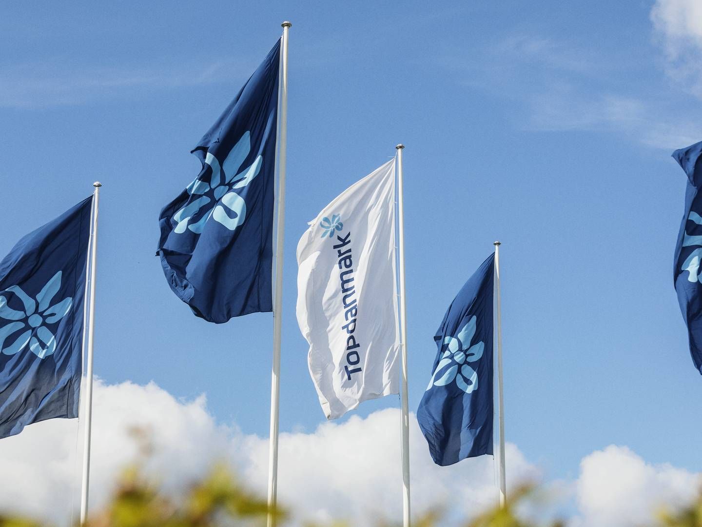 Forsikringsselskabet Topdanmark får sænket sit kursmål af Citigroup. | Foto: TOPDANMARK