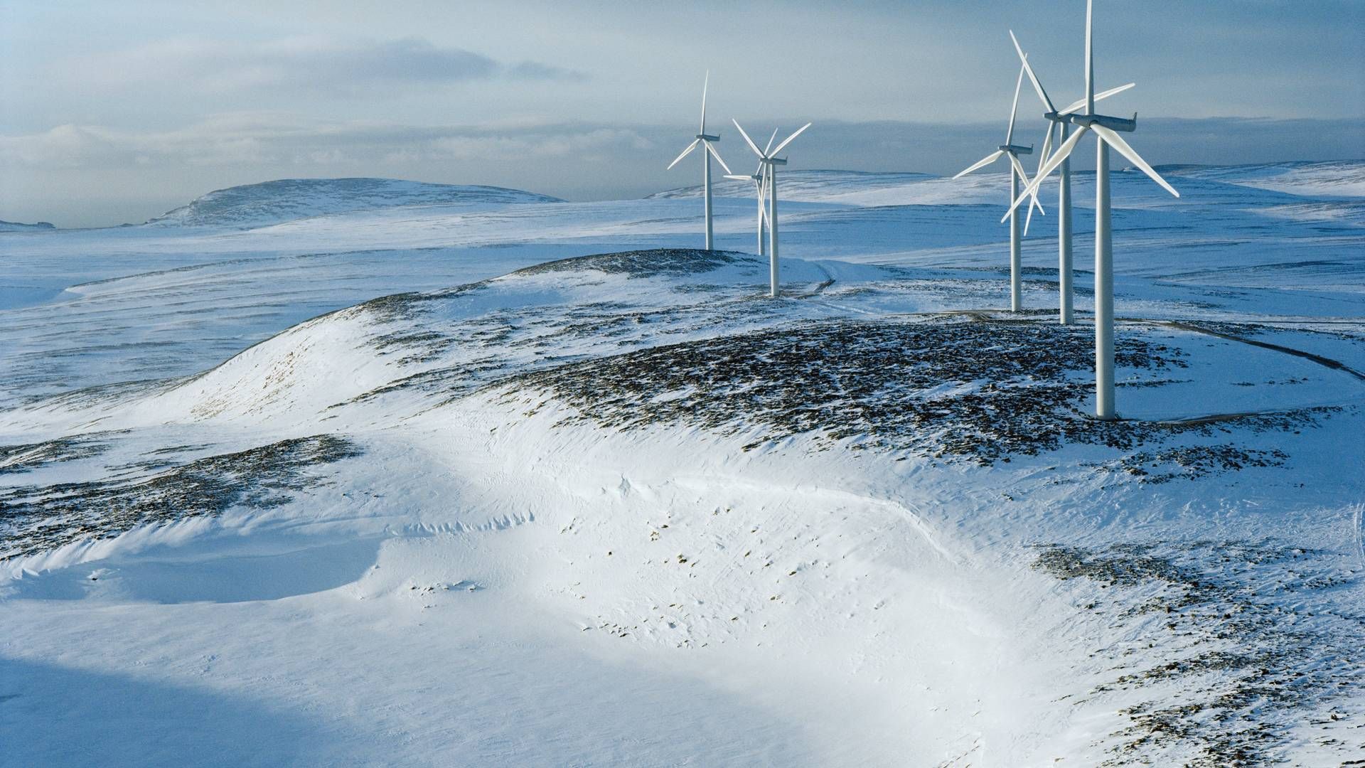 Anoris direktør ønsker at hente penge til vindmølleparken i Grønland hos nordiske og europæiske pengekasser. | Foto: Pr / Statkraft