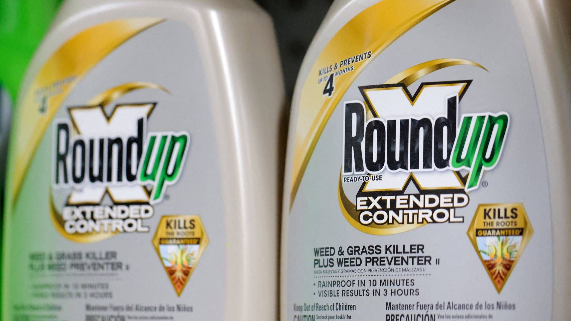 Roundup kan miste sin godkendelse inden årets udgang.