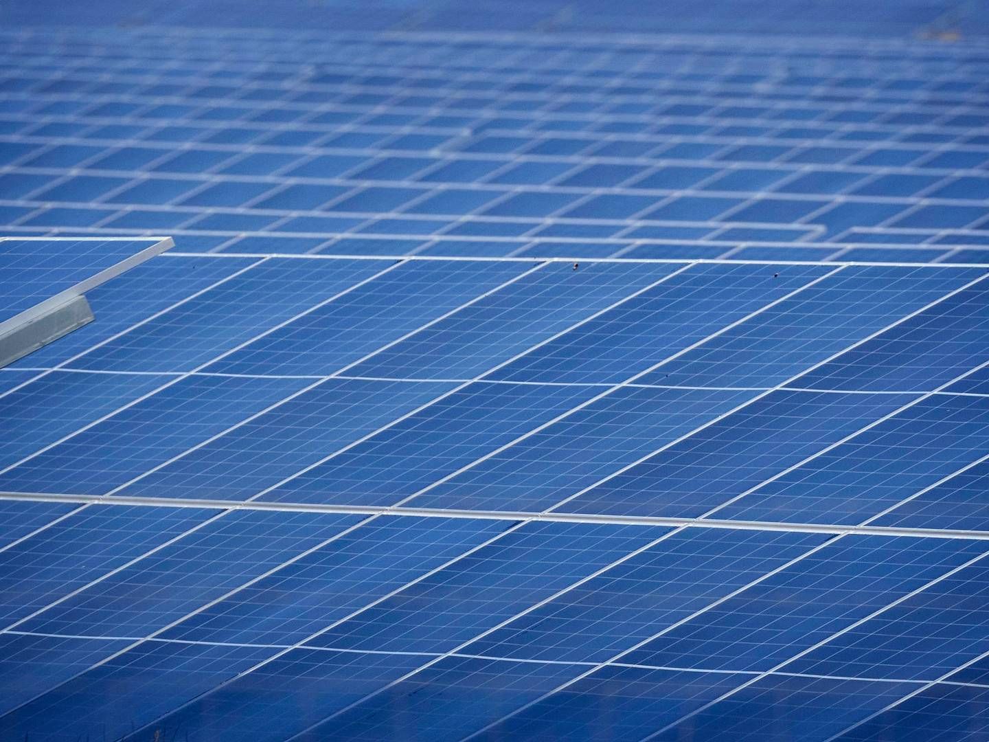 Solenergi er omdrejningspunktet for fire danske pensionsselskabers investering i Californien. | Foto: Jens Dresling/Ritzau Scanpix