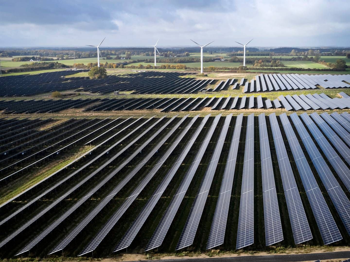 Vedvarende energi, som f.eks. solenergi, stod for syv pct. af verdens 60 største bankers lån til energisektoren i 2021. | Foto: Jens Dresling