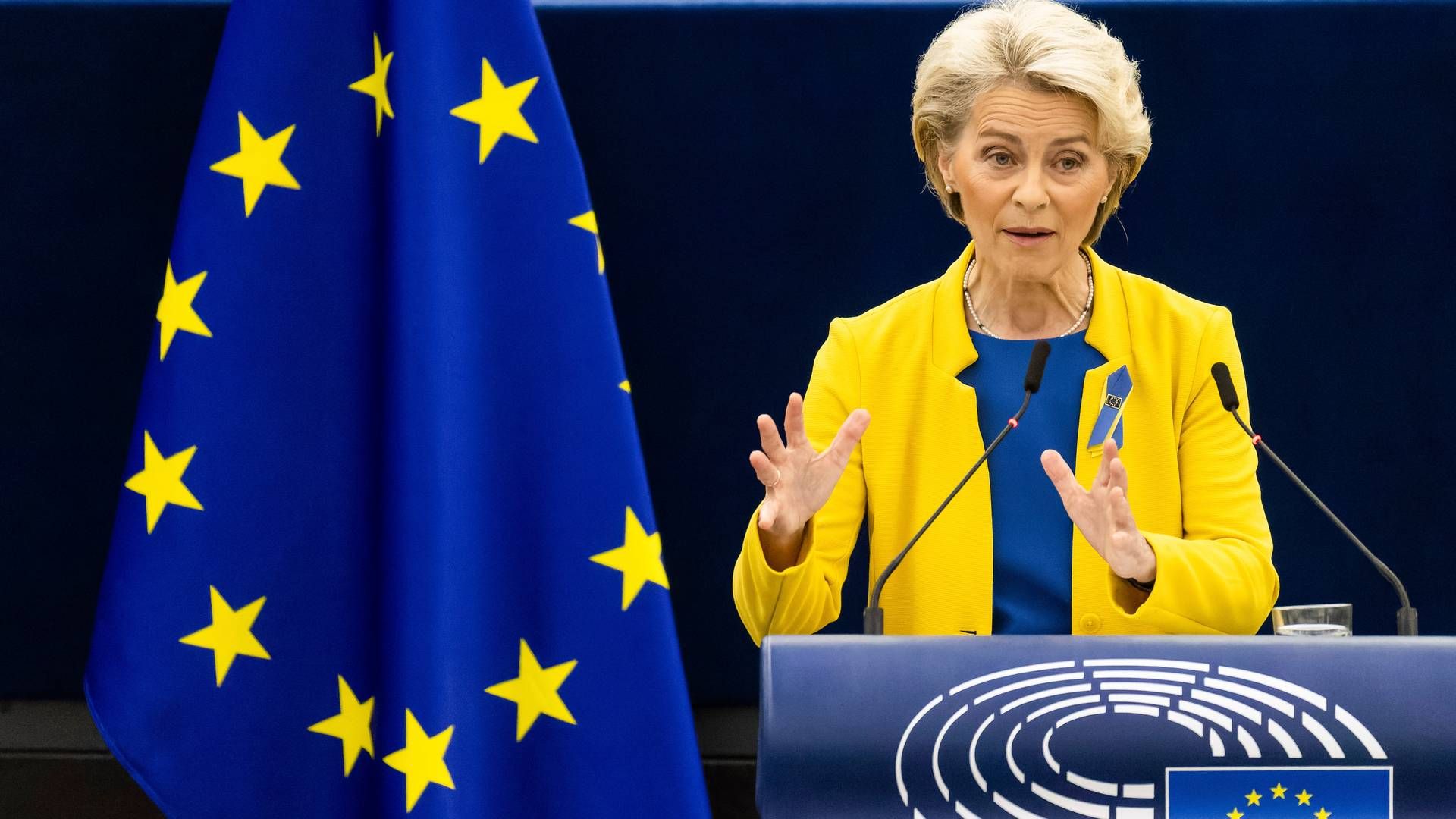 EU-Kommissionens formand, Ursula von der Leyen, lovede 140 mio. euro tilbage til forbrugerne gennem windfall-taxes. Mindre end 0,0007 promille af det beløb kommer i den danske statskasse, når den danske udømtning af EU's forordning træder i kraft.