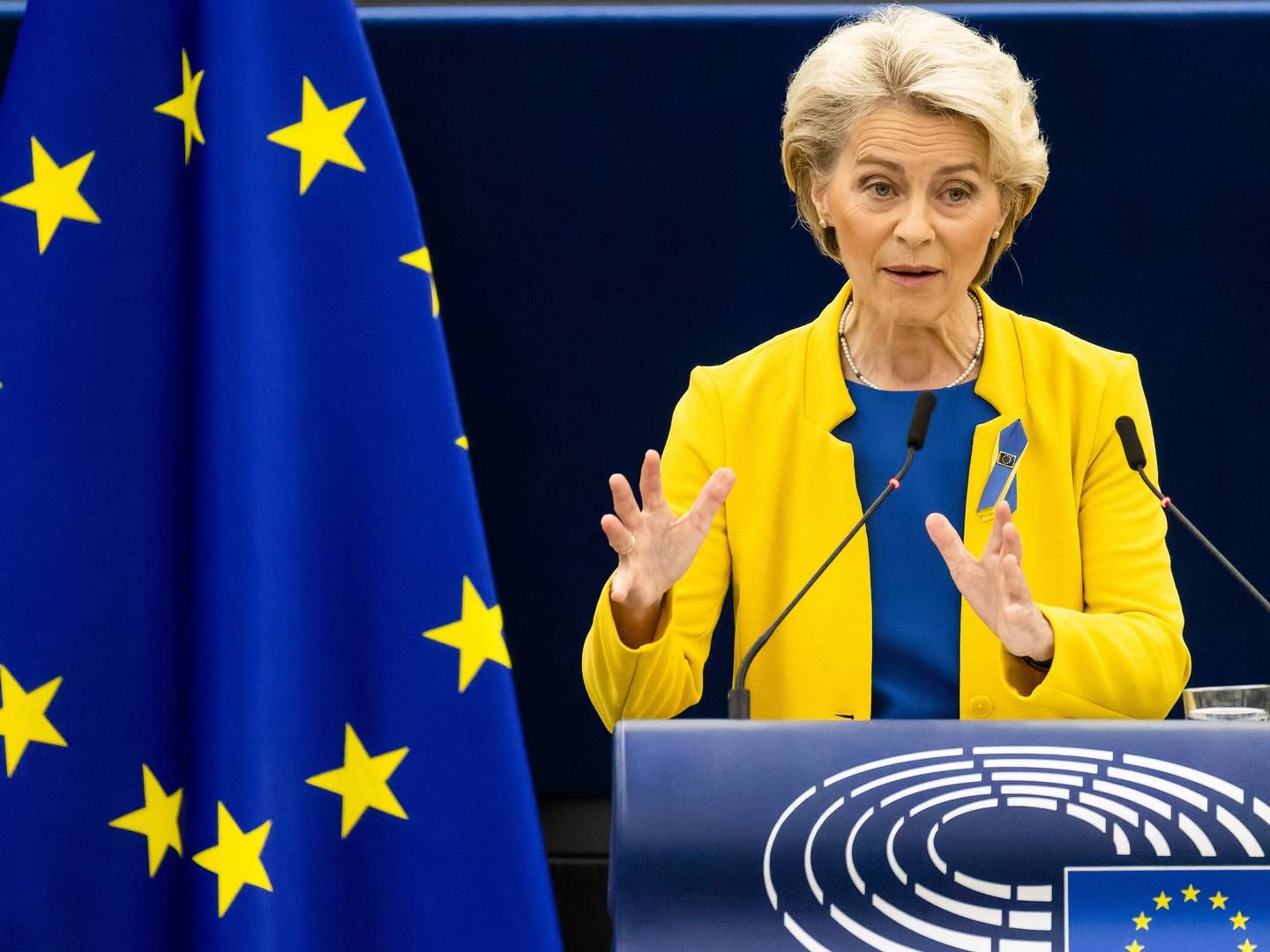 EU-Kommissionens formand, Ursula von der Leyen, lovede 140 mio. euro tilbage til forbrugerne gennem windfall-taxes. Mindre end 0,0007 promille af det beløb kommer i den danske statskasse, når den danske udømtning af EU's forordning træder i kraft.