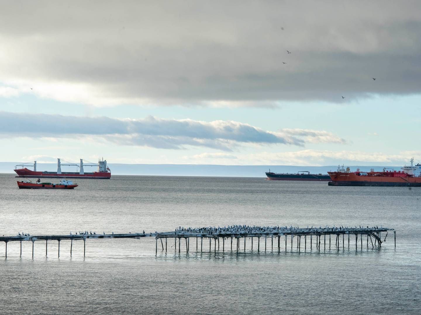 IMPORTERER: Til tross for forbud importeres russisk olje, gass og kull via europeiske skip til globale markeder. | Foto: Illusrasjonsfoto/NTB