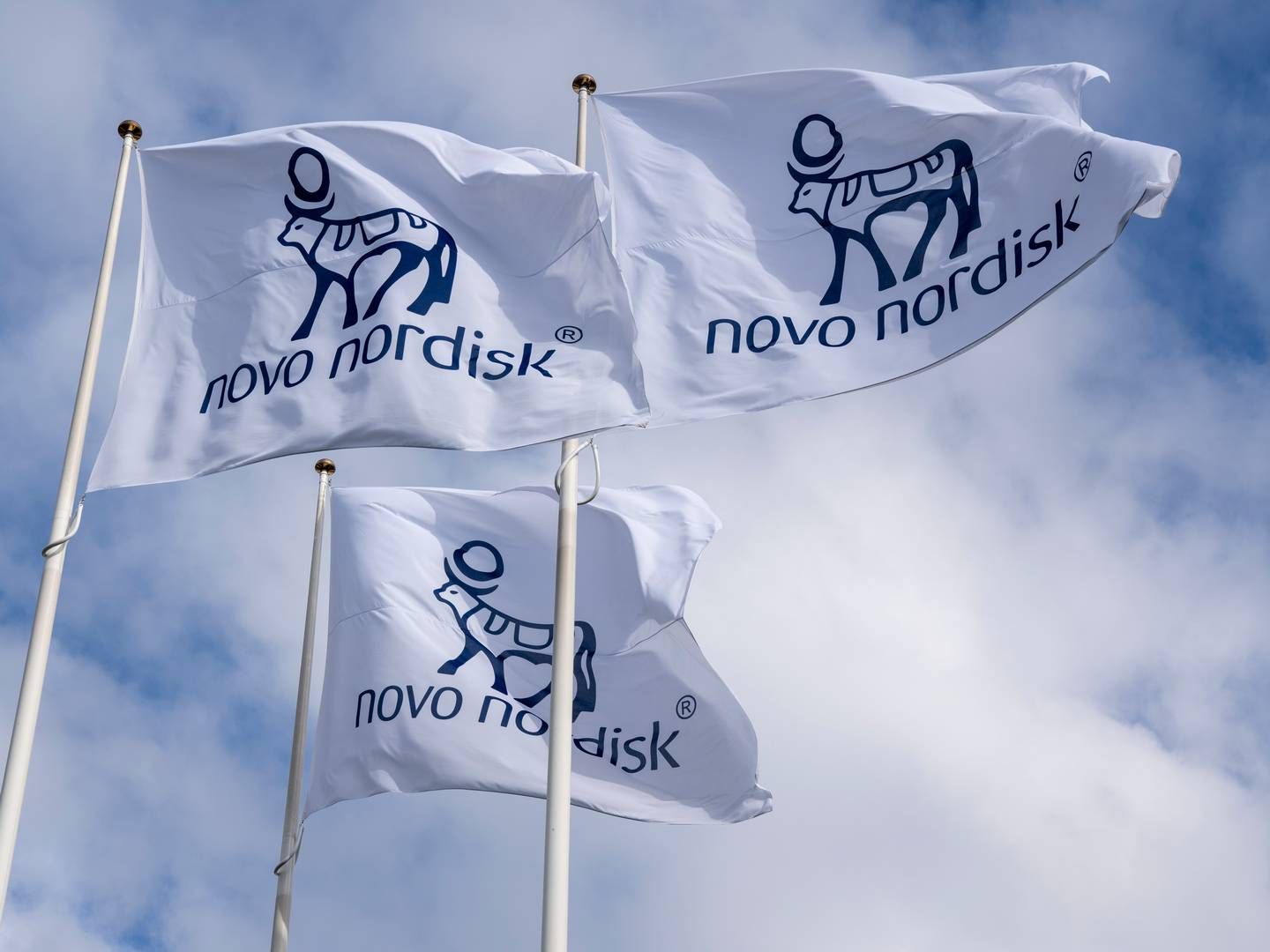 Foto: Novo Nordisk / Pr