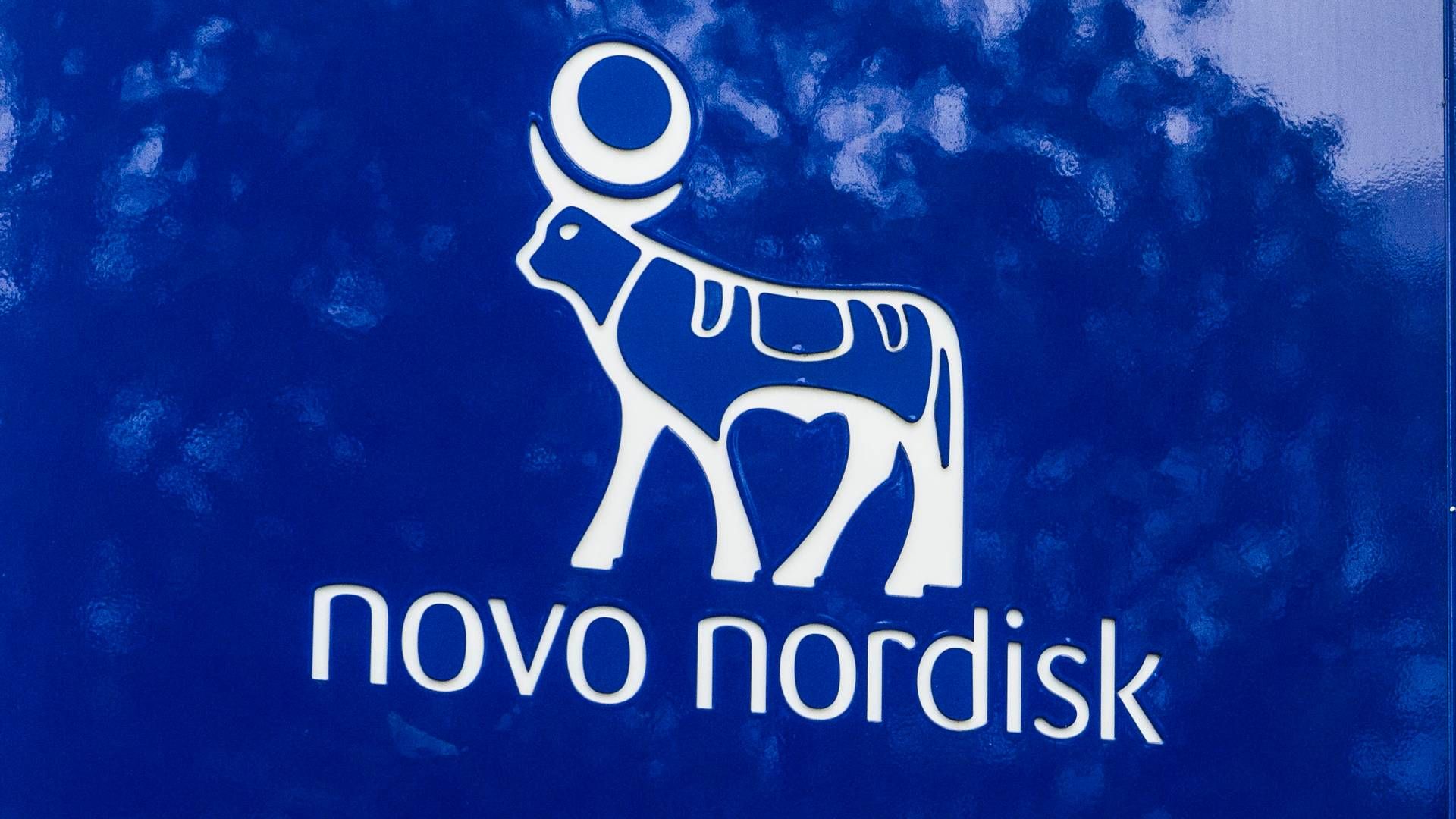 Novo Nordisk satte rekord på rekord. | Foto: Stine Tidsvilde