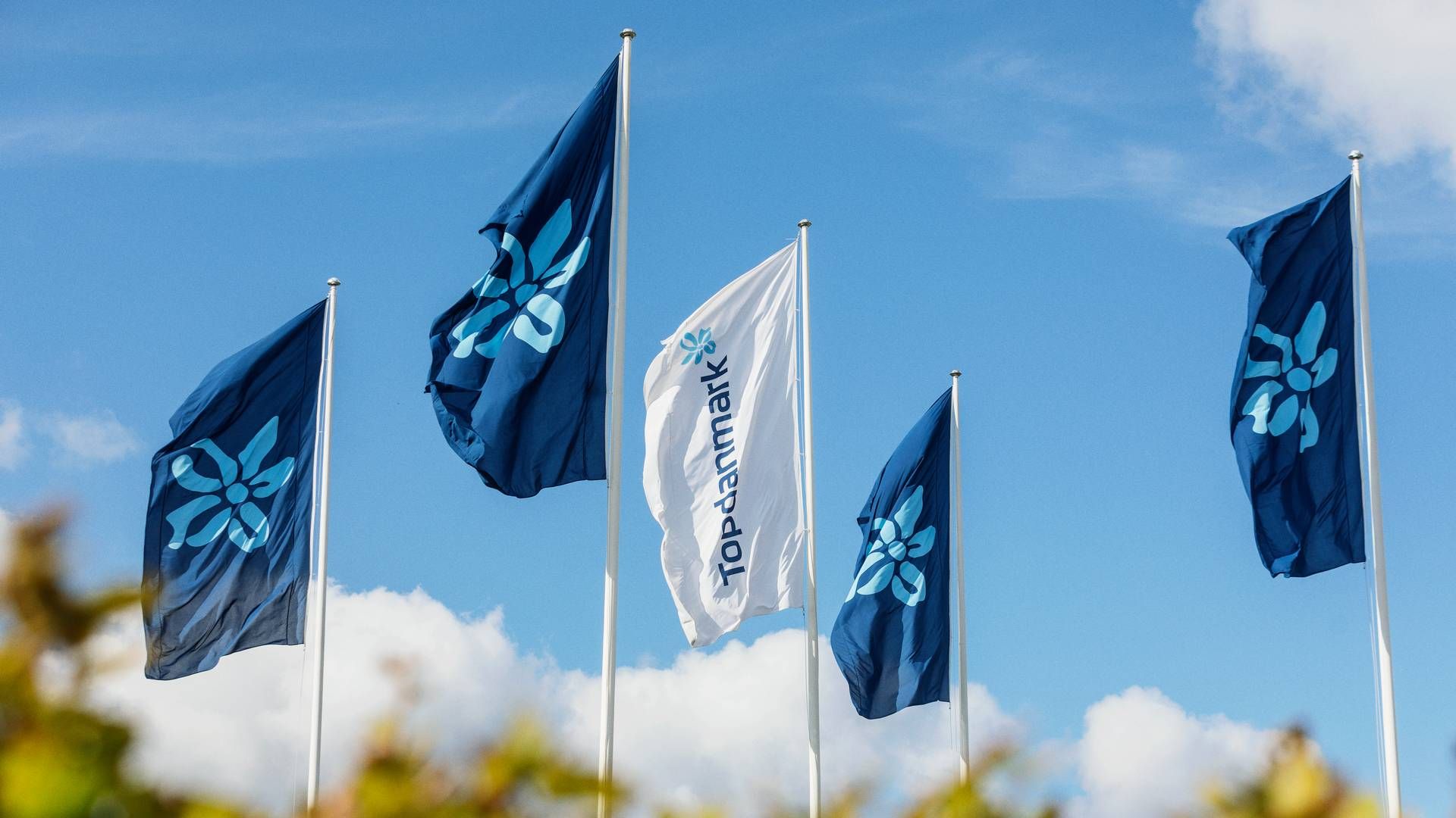 Antallet af brugere på Topdanmarks online-lægetjeneste fortsætter med at vokse. | Foto: Topdanmark