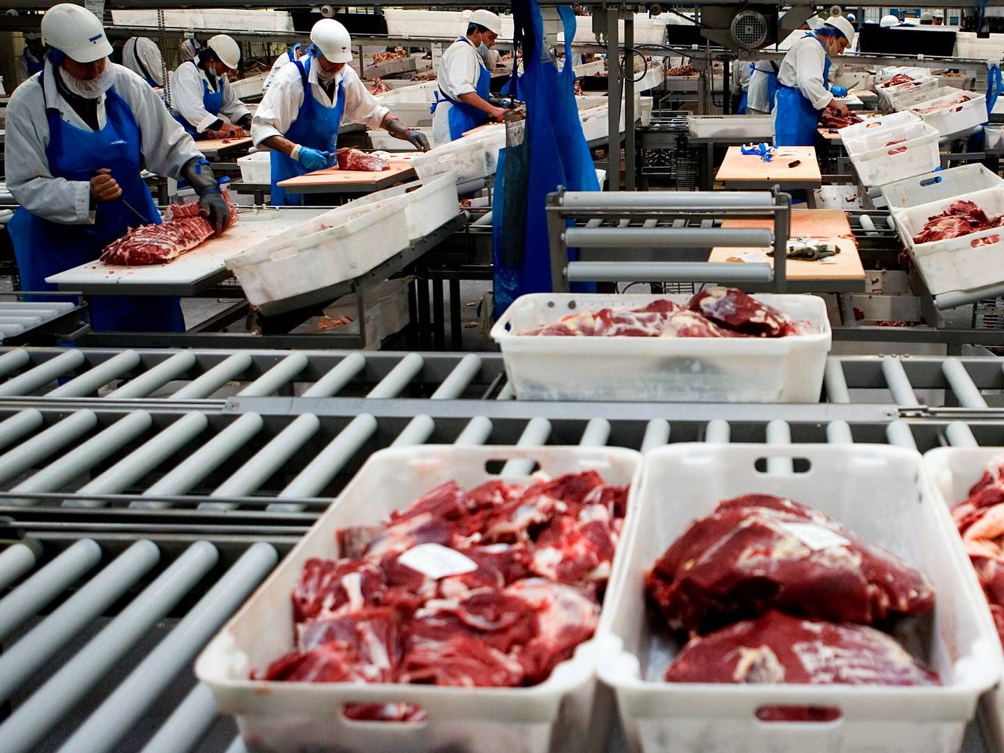 Fødevarestyrelsen fandt i december 250 ton kød hos Skare Meat Packers. Noget af det havde ligget i 13 år. | Foto: Lars Skaaning