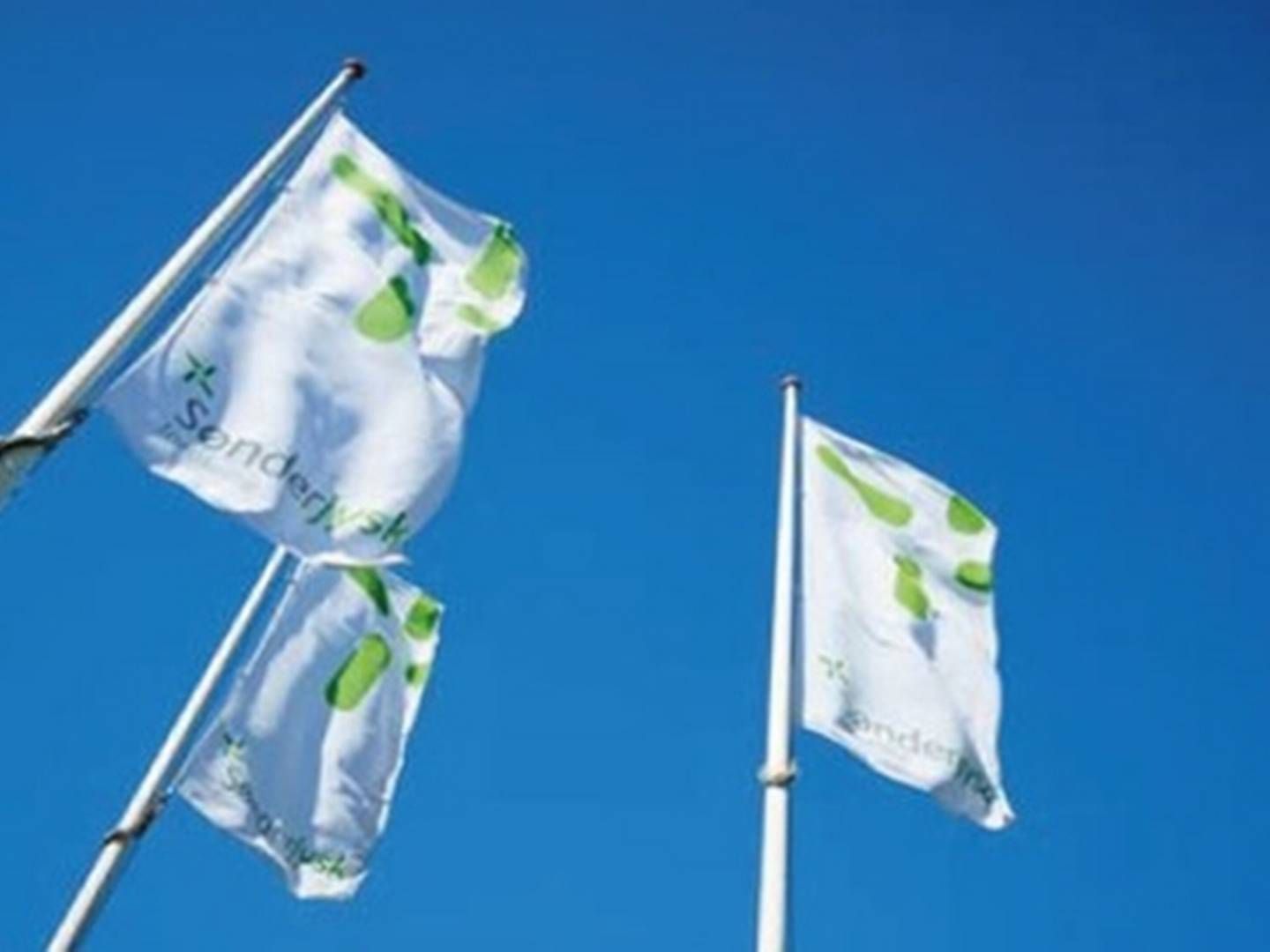 Sønderjysk Forsikring har valgt ung startup til at levere ny softwareløsning. | Foto: Pr/sønderjysk Forsikring