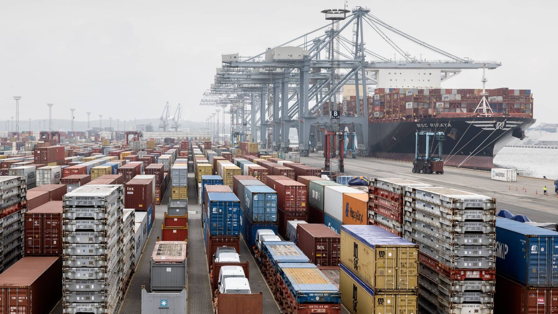 Containerhavnen i Aarhus. | Foto: Casper Dalhoff