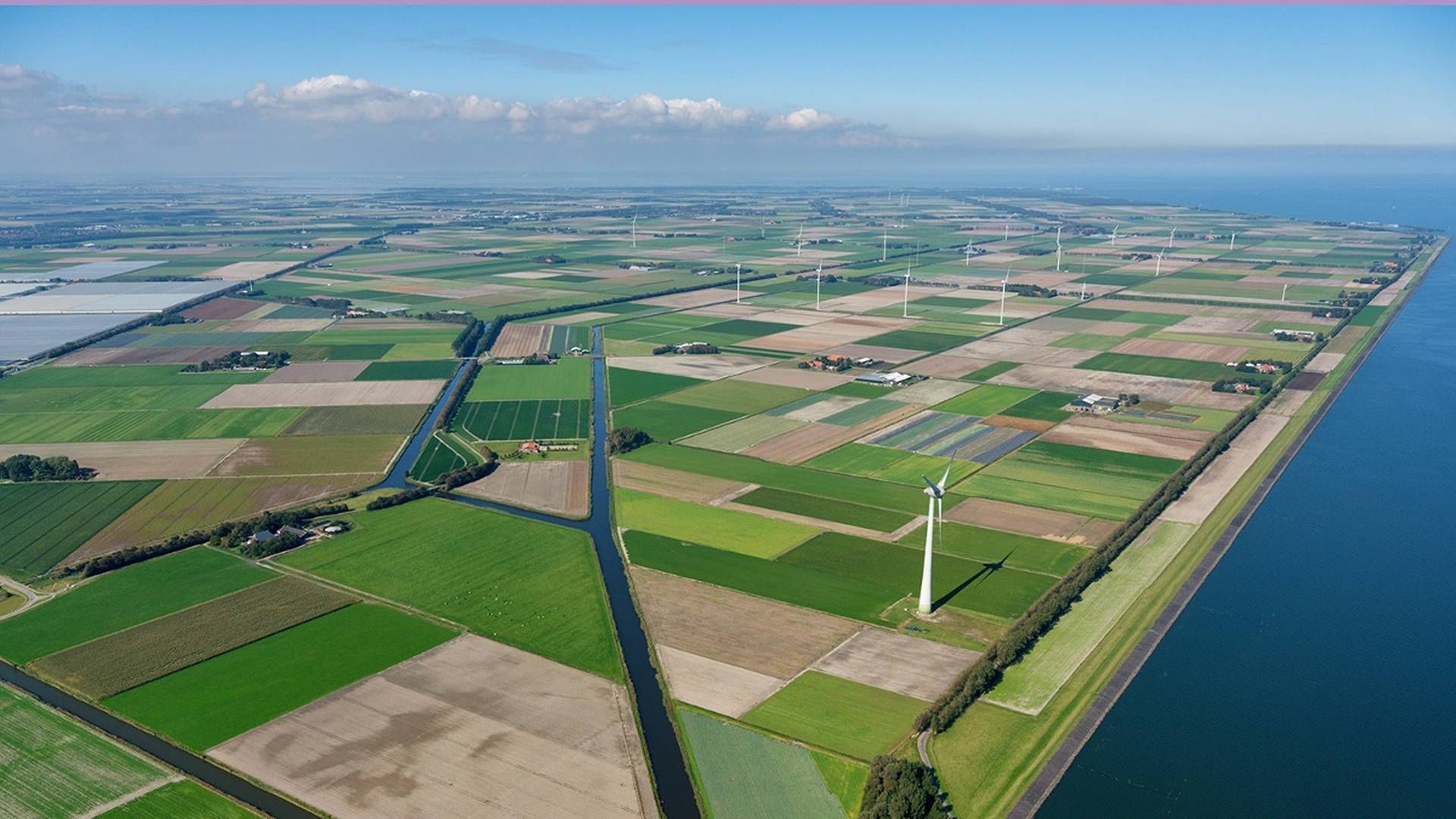 I Holland har Vattenfall kystnære møller på begge sider af vandkanten. I Danmark har selskabet dog holdt sig fra åben dør-ordningen. | Foto: Vattenfall