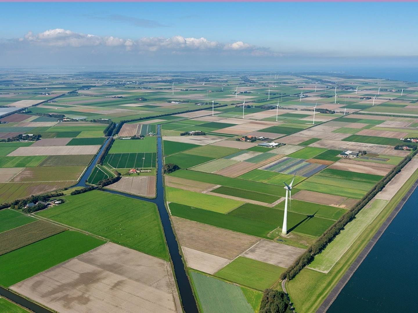 I Holland har Vattenfall kystnære møller på begge sider af vandkanten. I Danmark har selskabet dog holdt sig fra åben dør-ordningen. | Photo: Vattenfall