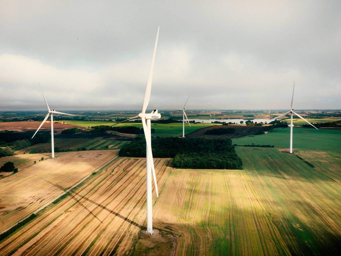 Eurowind har storstilede planer om at etablere biogasproduktion i forbindelse med allerede etablerede vindparker. | Foto: Pr Eurowind