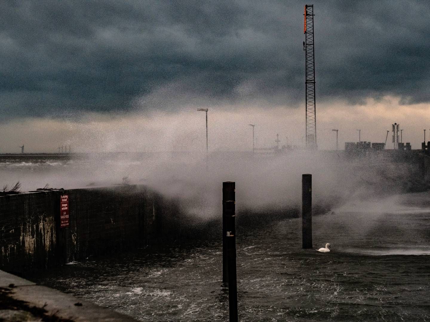 DMI varsler storm i dele af Danmark fredag. Stormen har fået navnet Otto. | Foto: Per Rasmussen
