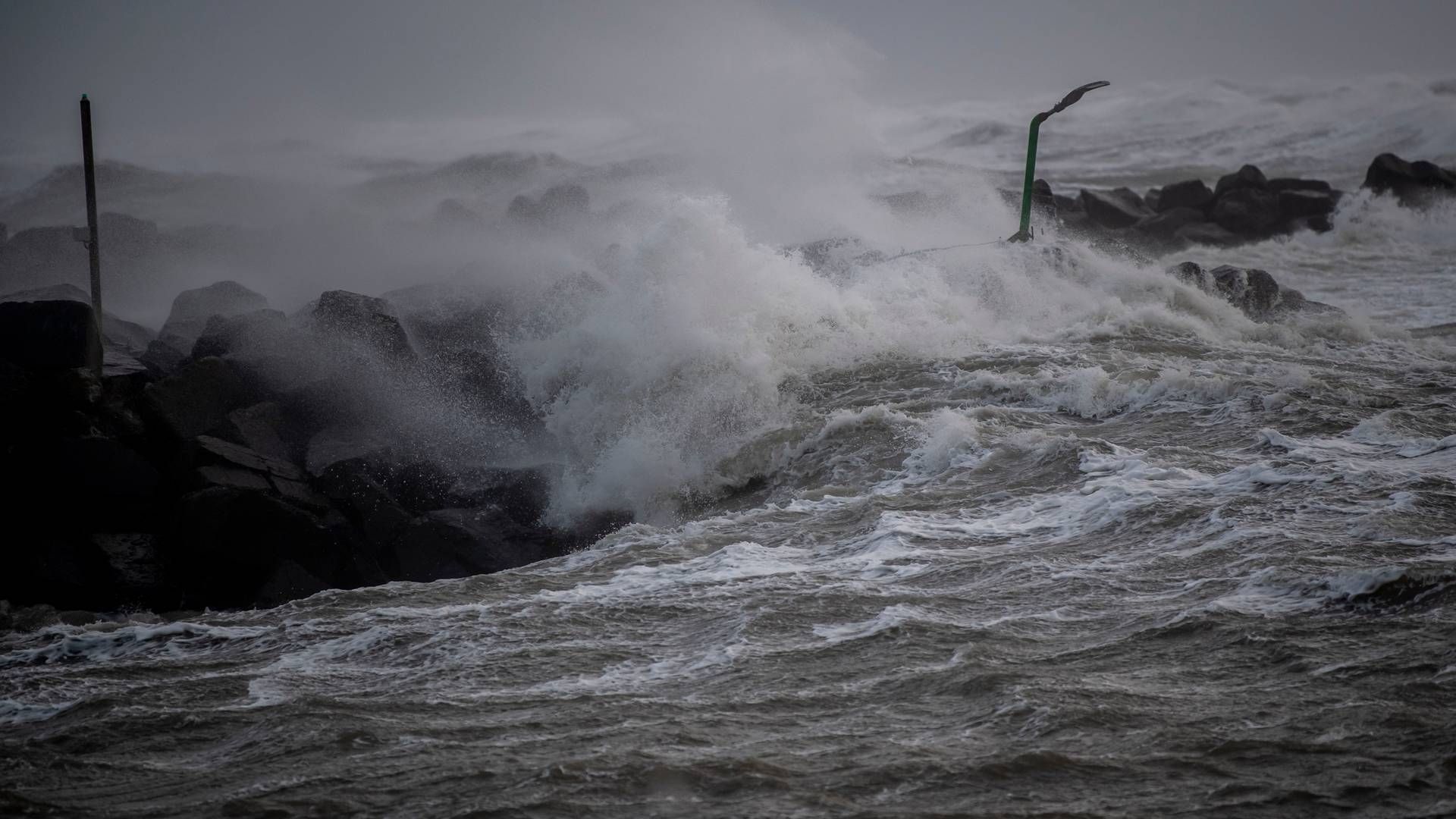 Stormen Otto har indtil videre medført færre skader end frygtet, oplyser Tryg og Topdanmark. | Foto: Morten Stricker/Jysk Fynske Medier/Ritzau Scanpix