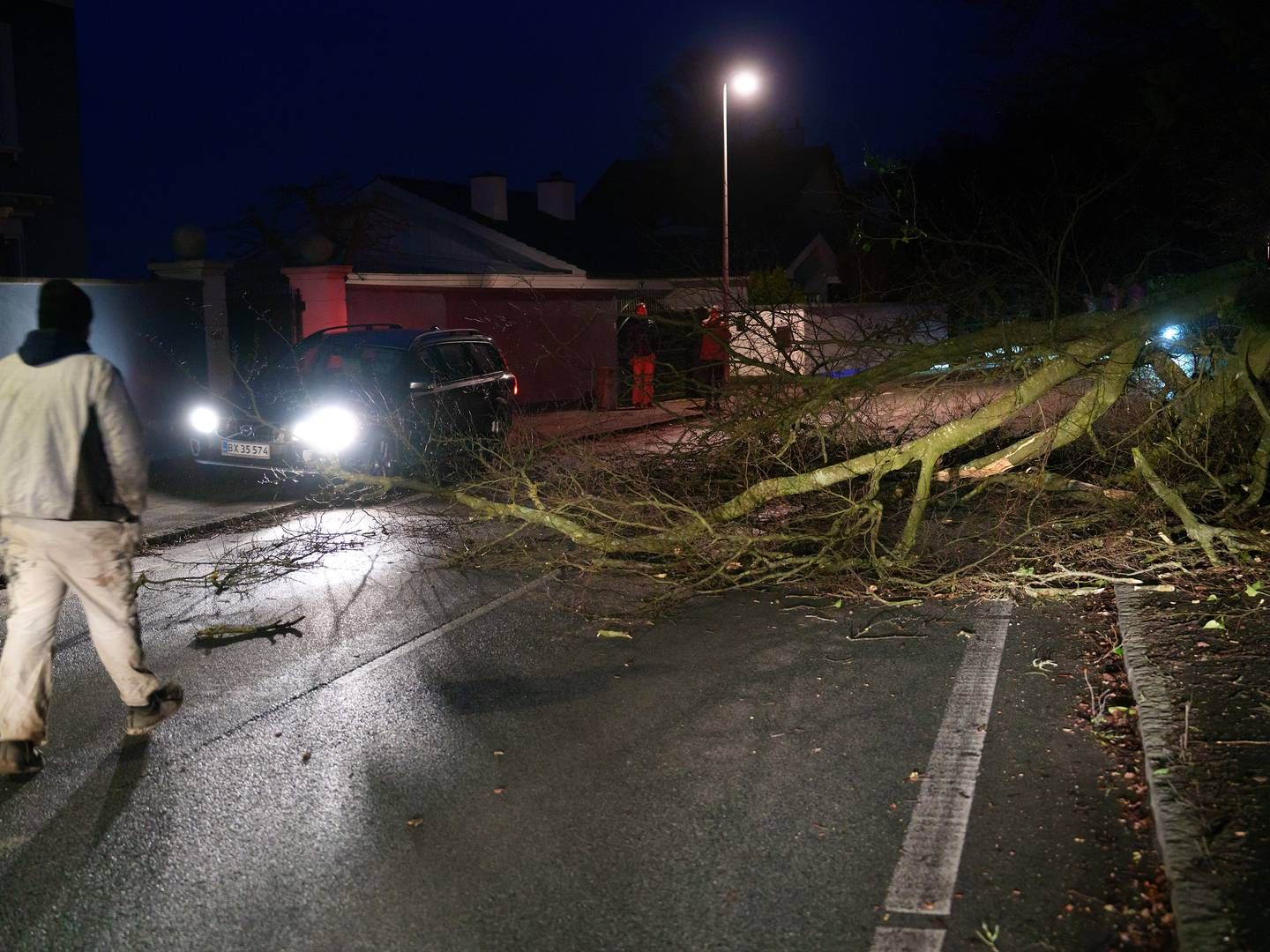 Mange små skader og enkelte større er det samlede billede, som med forsikringsselskabet Trygs øjne får stormen Otto til at se knap så slem ud som sidste års Malik - indtil videre. | Foto: Keld Navntoft