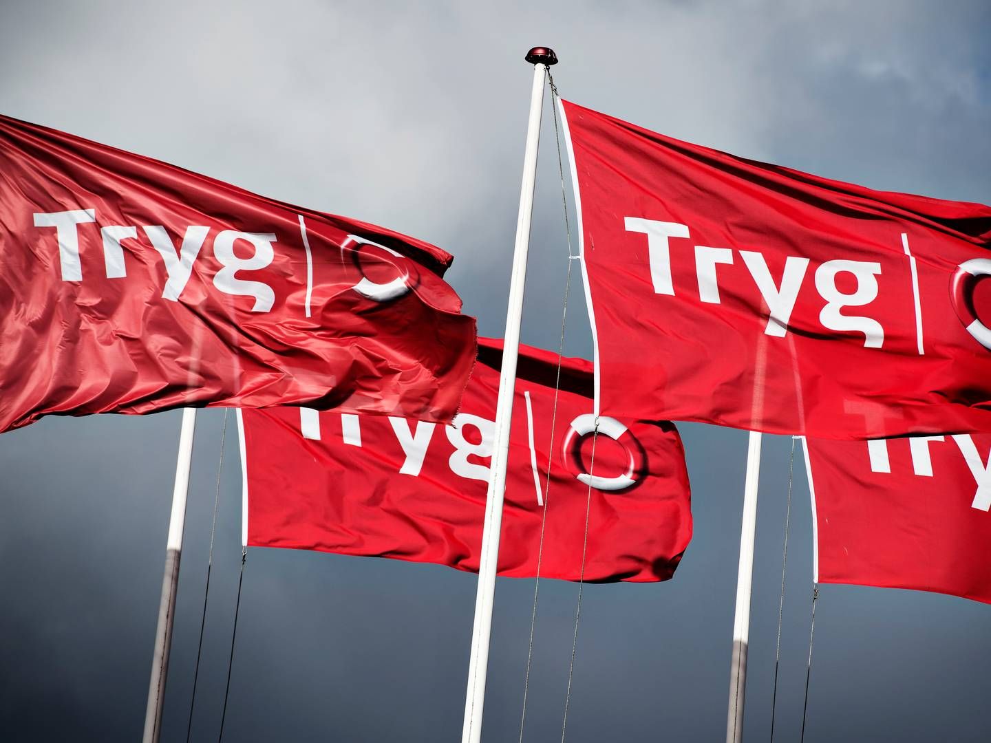 Mediobanca har hævet kursmål og anbefaling på både Tryg og Topdanmark. | Foto: Philip Davali
