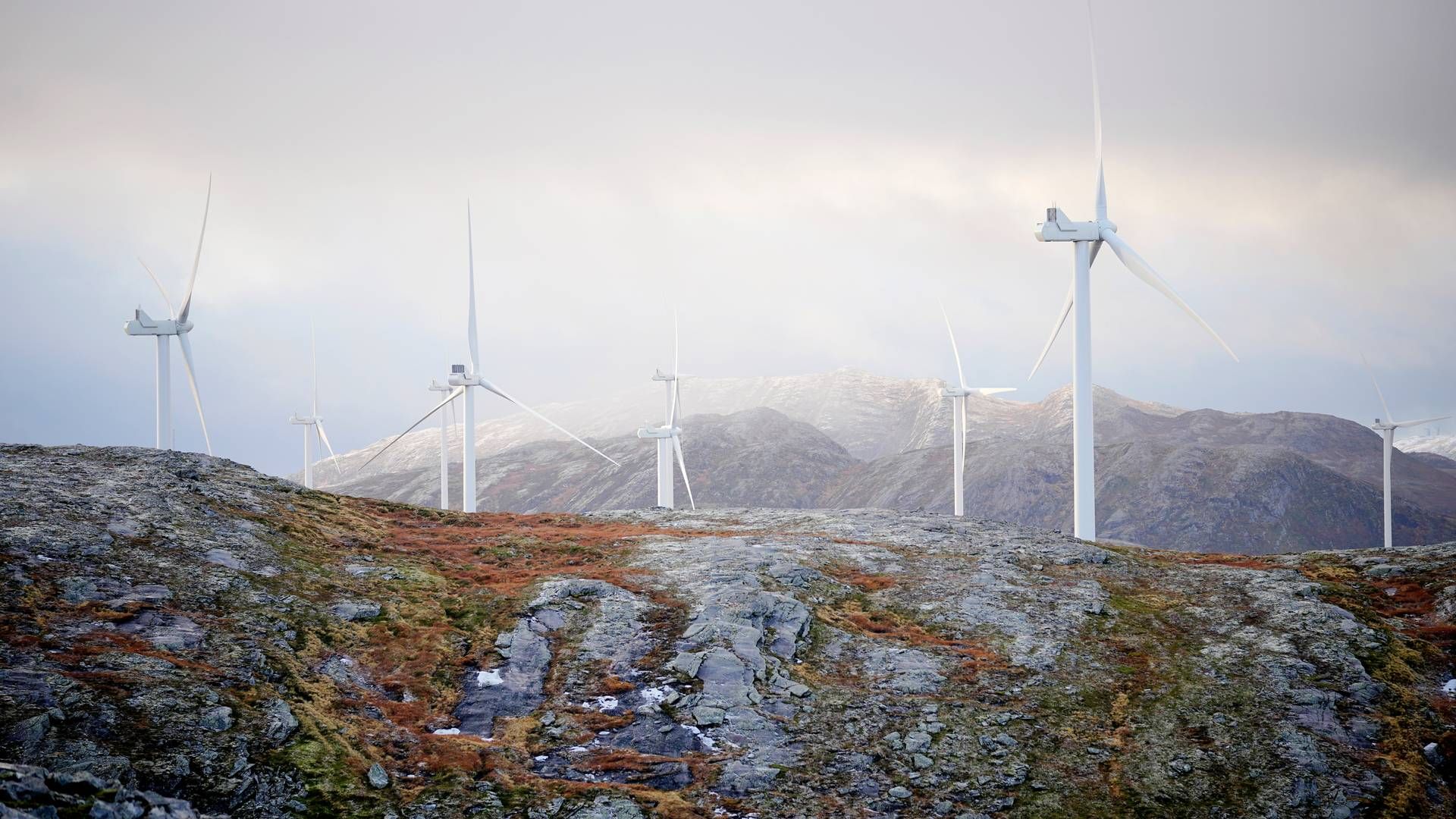 1-2 MILLIONER: Oslo Economics og Sweco har regnet på hvor mye det koster å rive vindturbinene på Storheia i Fosen. | Foto: Ole Martin Wold / NTB