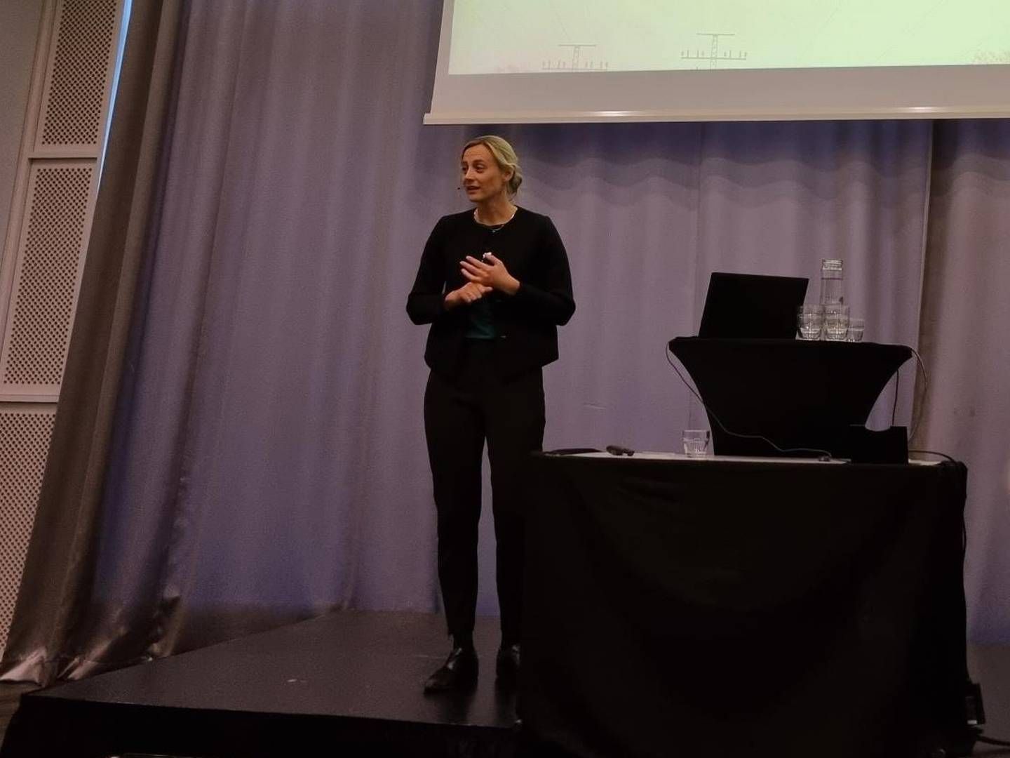 Lisa Vedeld Hammer ønsker seg bedre søknader fra industrien, slik at behandlingstiden blir kortere. Her fra Norges Energidager. | Foto: EnergiWatch