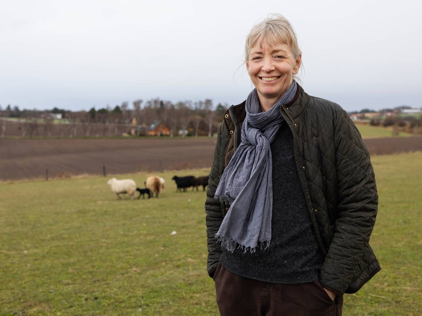Louise Køster er fortid i Økologisk Landsforening. | Foto: Gregers Tycho/JP/Ritzau Scanpix.