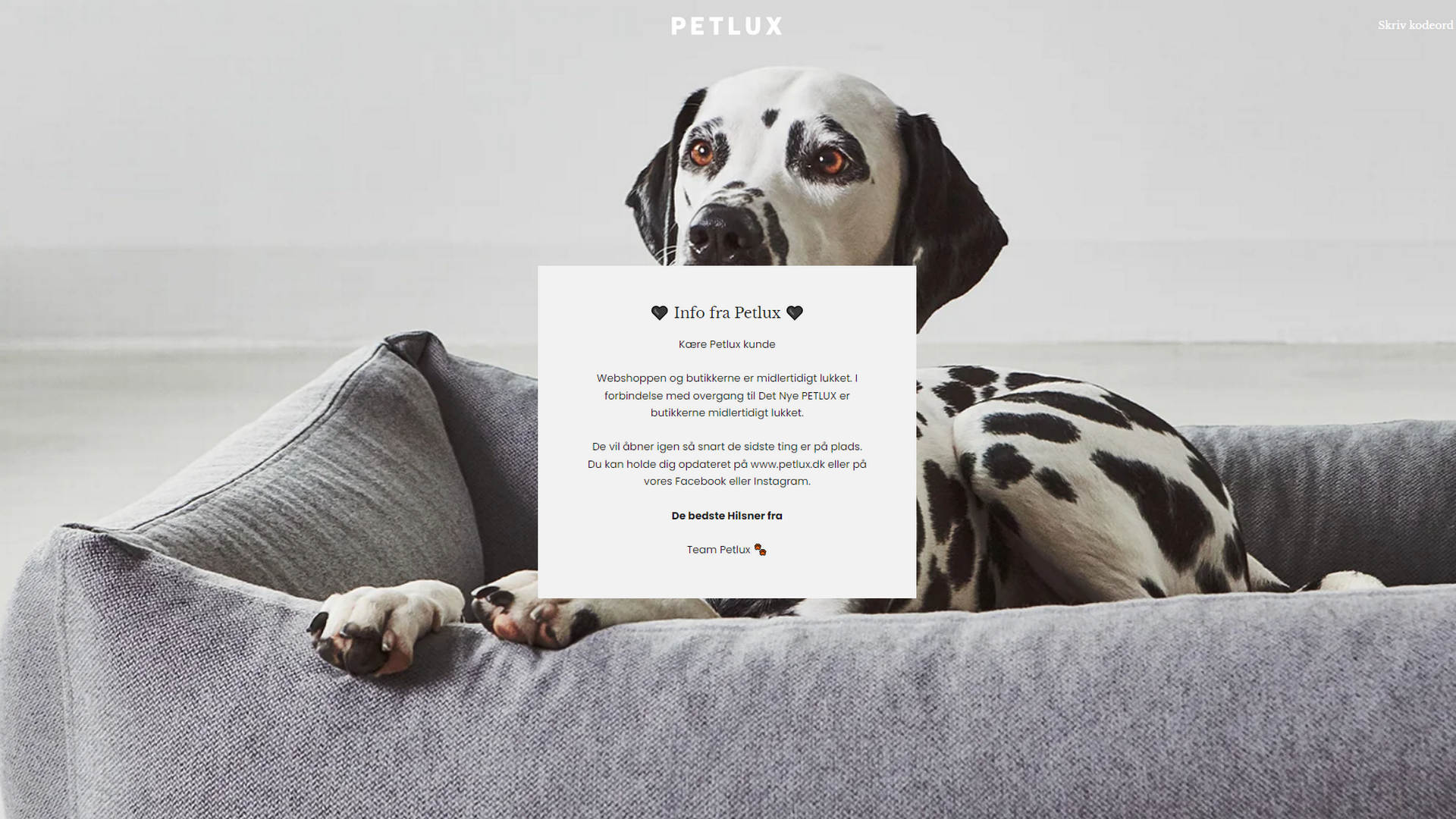 Petlux håber at åbne "det nye Petlux" på den anden side af konkursbehandlingen. | Foto: Skærmbillede fra Petlux' hjemmeside
