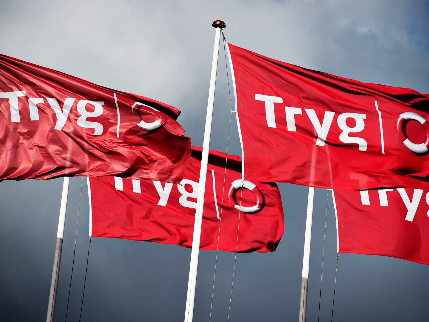 Tryg indgår samarbejder med både elbilproducenten BYD og delebilskonceptet Greenmobility. | Foto: Philip Davali