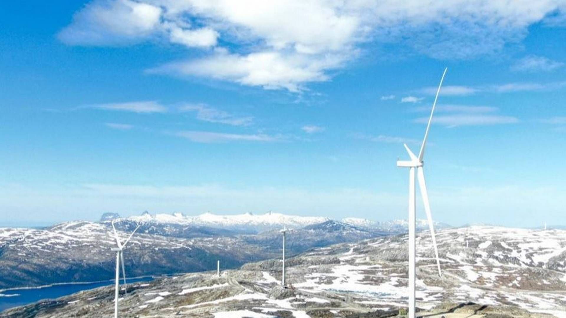 Øyfjellet vindkraftverk sto ferdig i 2022. Med 72 turbiner, og 400 MW installert effekt er det Norges største enkeltanlegg. Rundt 300 reinsdyr har flytteleie gjennom vindkraftområdet. | Foto: Øyfjellet Vind