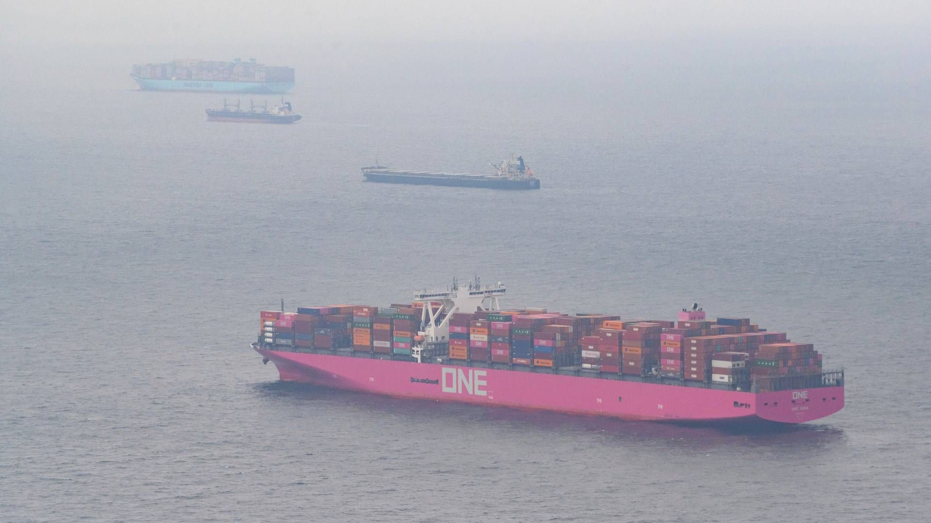 NYK er en af tre ejere af det japanske rederi ONE, hvis skibe har en karakteristisk pink farve. | Foto: Jonas Walzberg/AP/Ritzau Scanpix