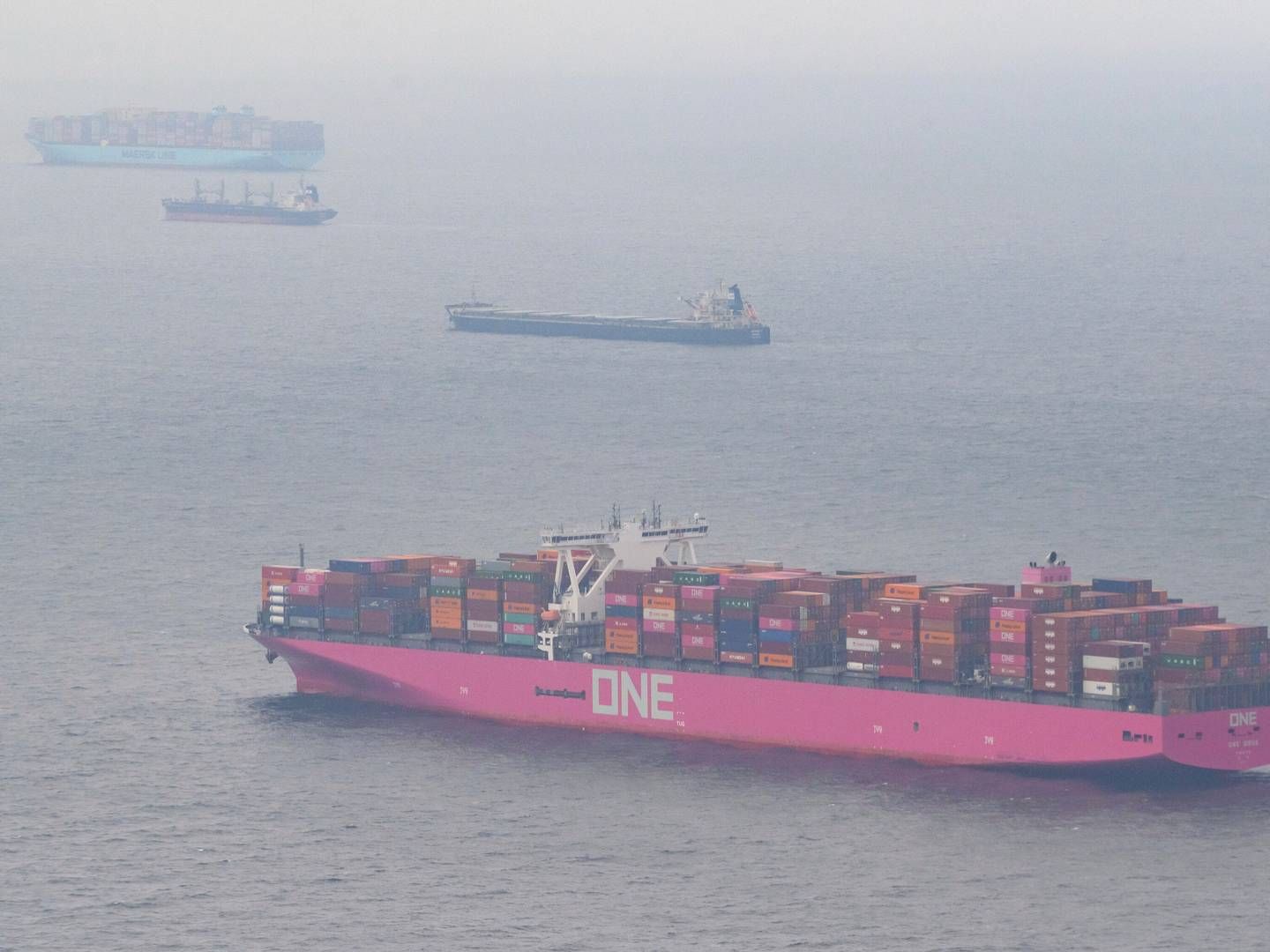 NYK er en af tre ejere af det japanske rederi ONE, hvis skibe har en karakteristisk pink farve. | Foto: Jonas Walzberg/AP/Ritzau Scanpix