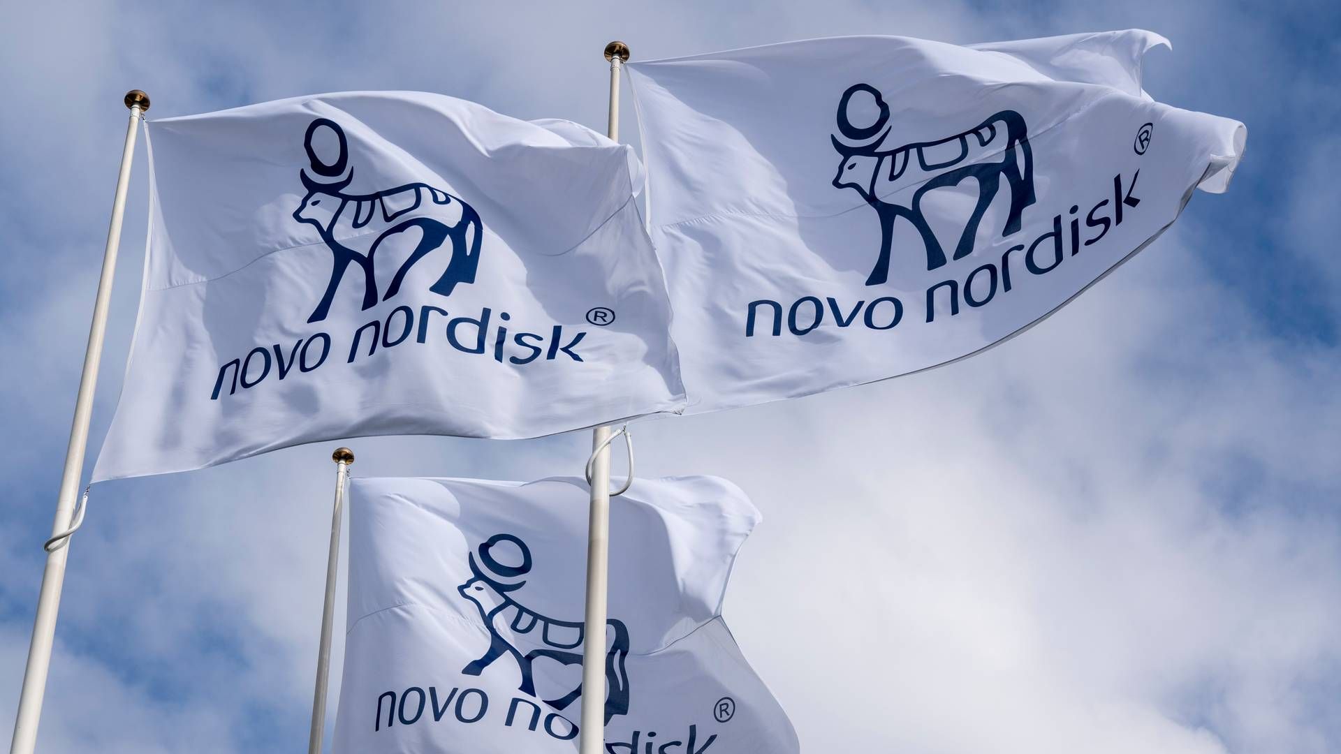 Foto: Novo Nordisk / Pr