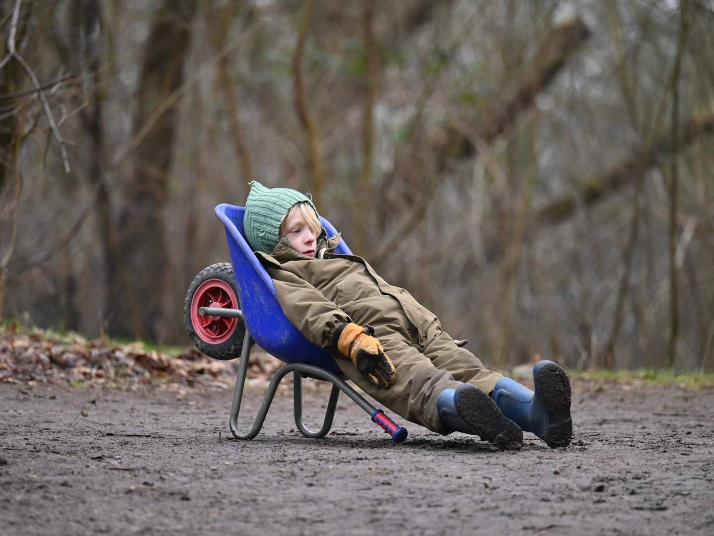 Come rain, sleet or snow - just like Nordic investors dared to put on risk in February, little kids are not afraid to spend their days playing in the woods and even napping outside midwinter across Scandinavia. | Photo: Sergei Gapon/AFP/Ritzau Scanpix