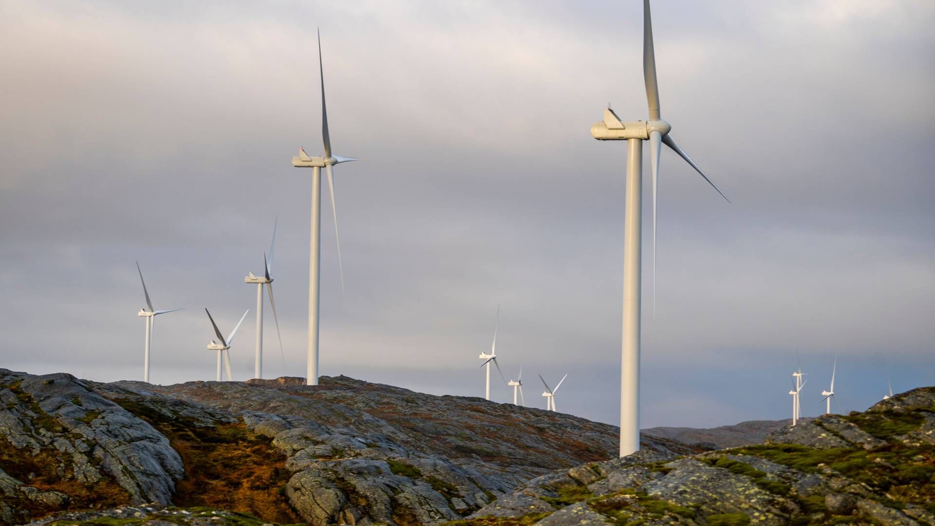 KAN BLI POLITIANMELDT: Storheia vindpark er den største av vindparkene i porteføljen til Fosen Vind, og den andre av vindparkene som ble bygget. Da den ble overført til ordinær drift i februar 2020 var den Norges største med 80 turbiner og en installert effekt på 288 MW. | Foto: Heiko Junge / NTB