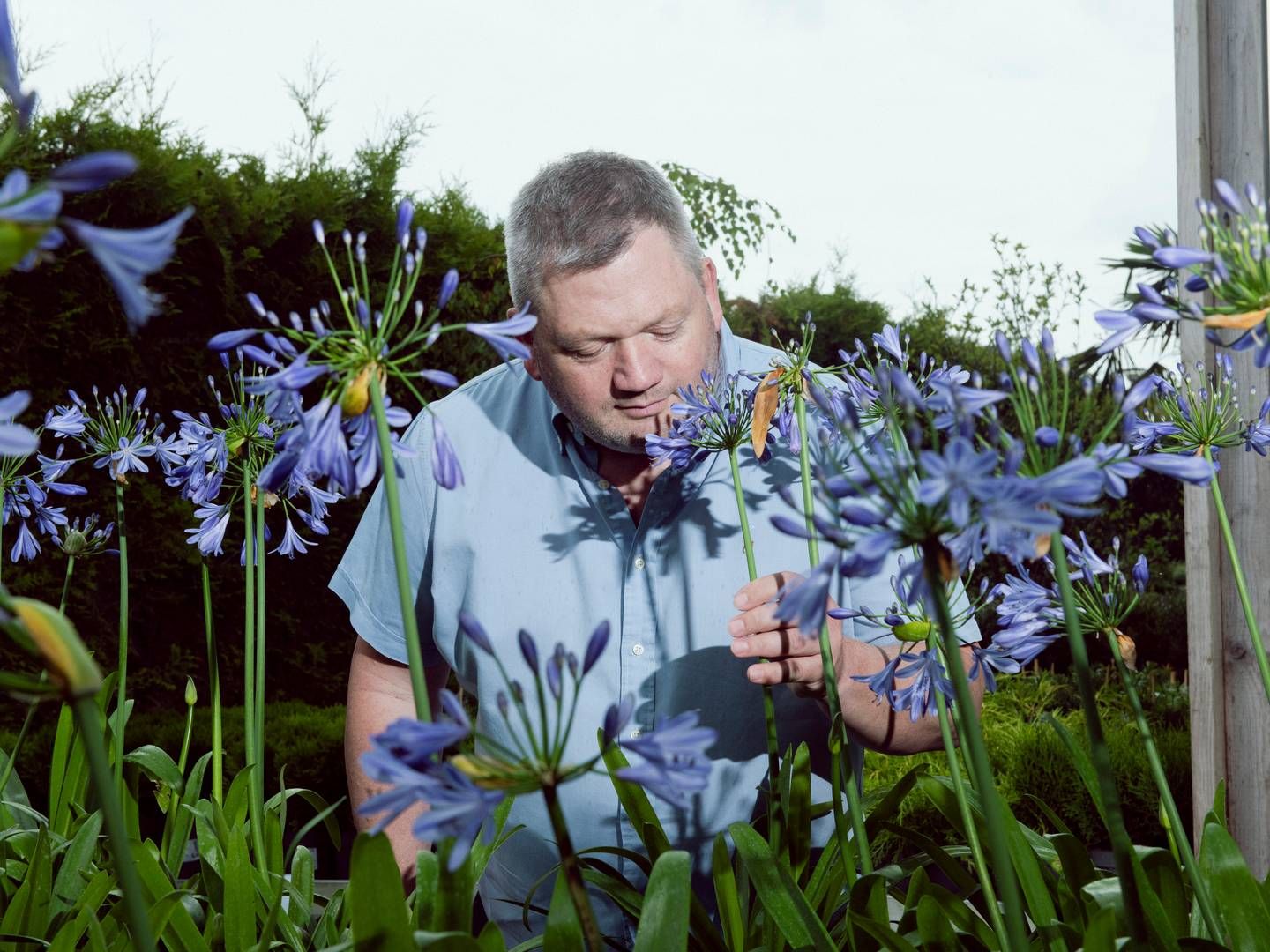 Brian Reenberg stiftede Billigblomst i 2011. | Foto: Kasper Heden Andersen