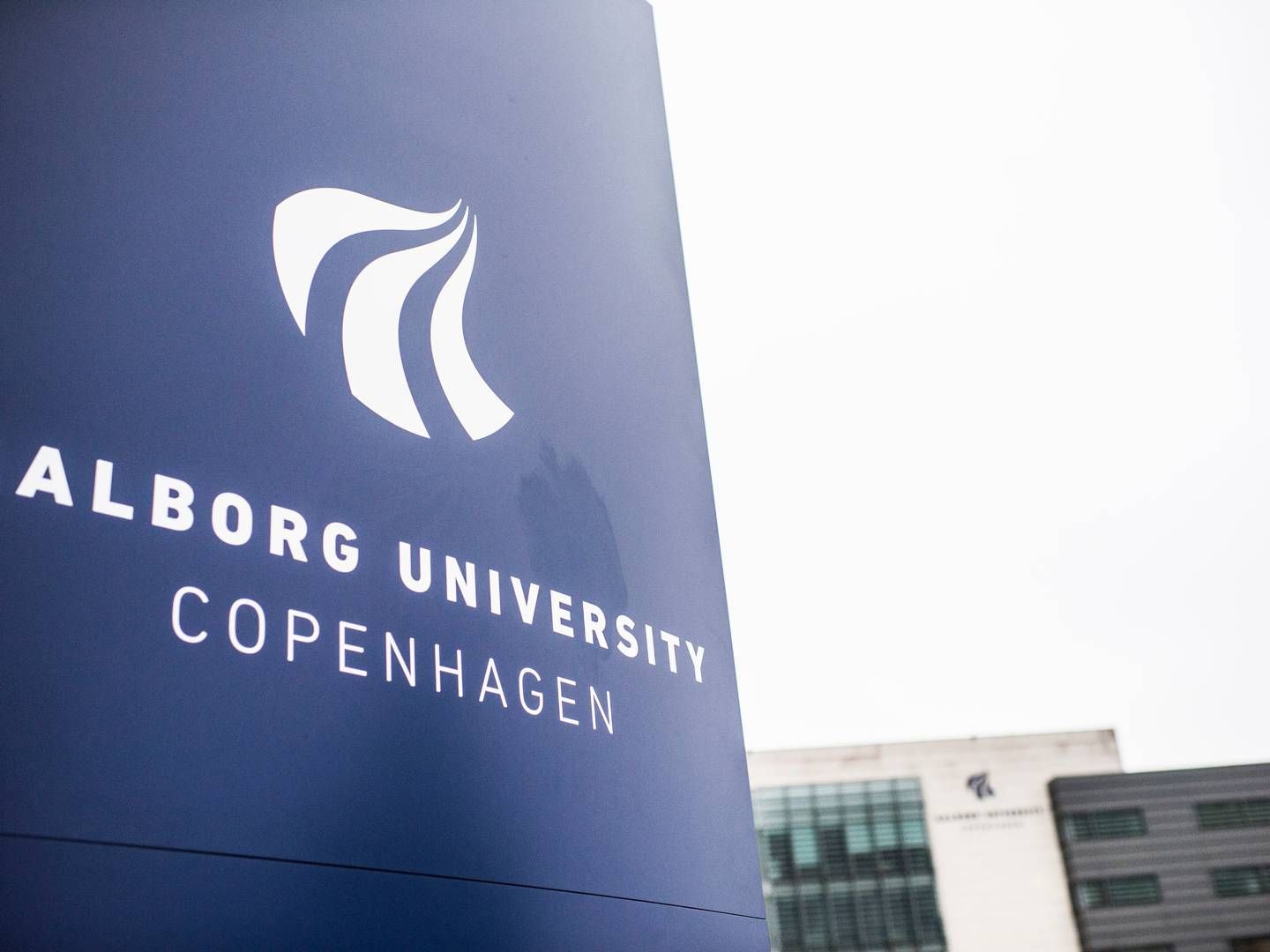 Der er rift om uddannelsespladserne på it-studierne på Aalborg Universitet. Foto: Tidsvilde Stine/Ritzau Scanpix