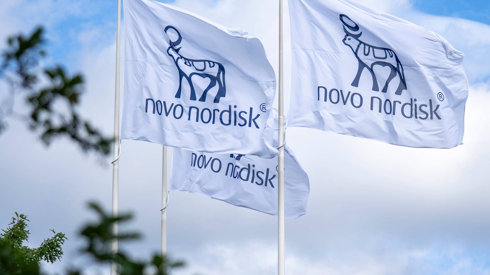 HØY ETTERSPØRSEL: Novo Nordisk har siden i fjor høst ikke klart å produsere nok av diabetesmiddelet Ozempic. | Foto: Novo Nordisk / Pr