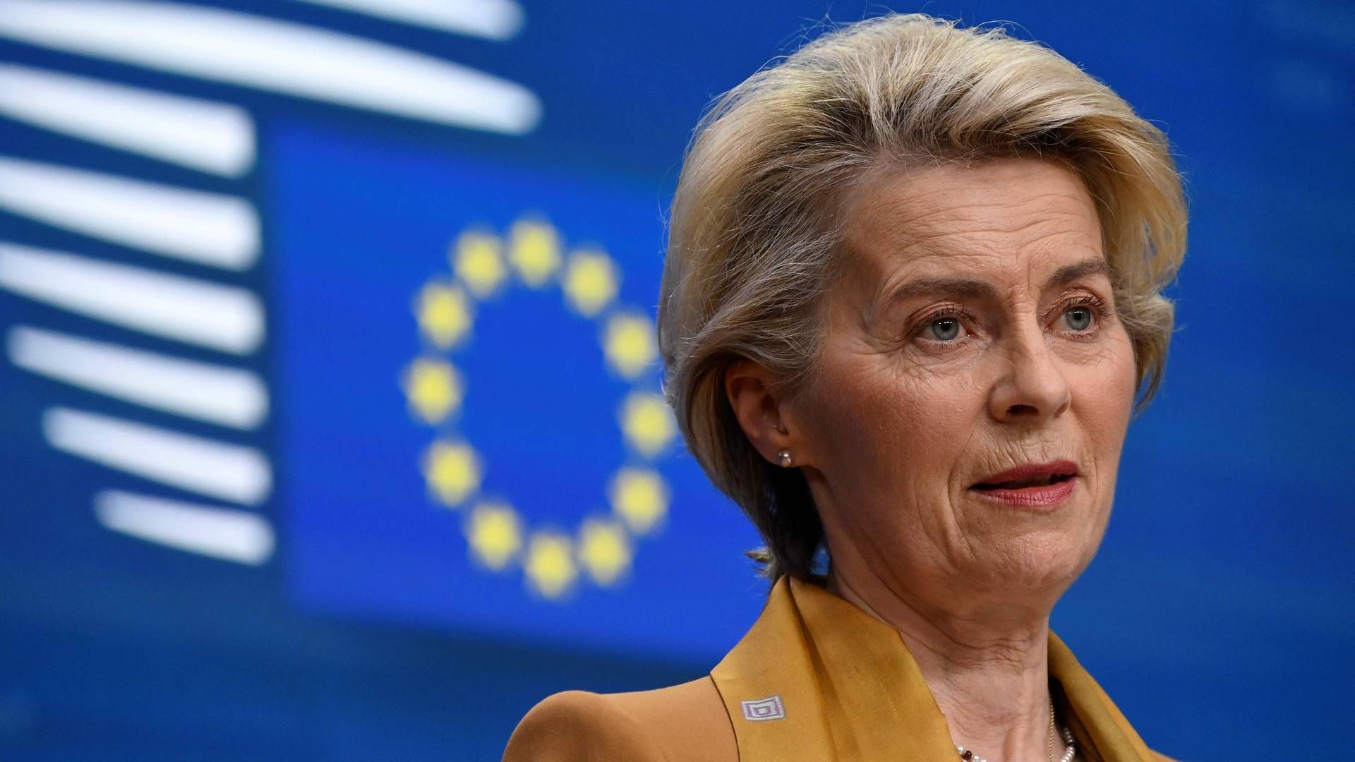EU-Kommissionens formand, Ursula von der Leyen, håber på en snarlig omkring Tysklands modstand mod at udfase forbrændingsmotorer i 2035.