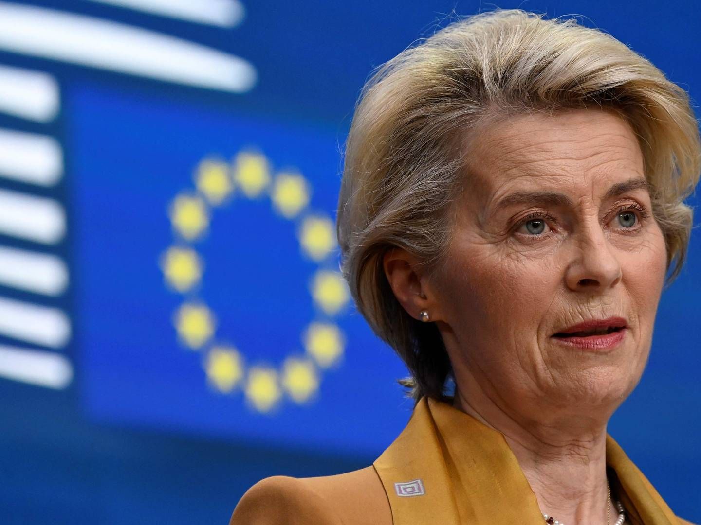 EU-Kommissionens formand, Ursula von der Leyen, håber på en snarlig omkring Tysklands modstand mod at udfase forbrændingsmotorer i 2035.