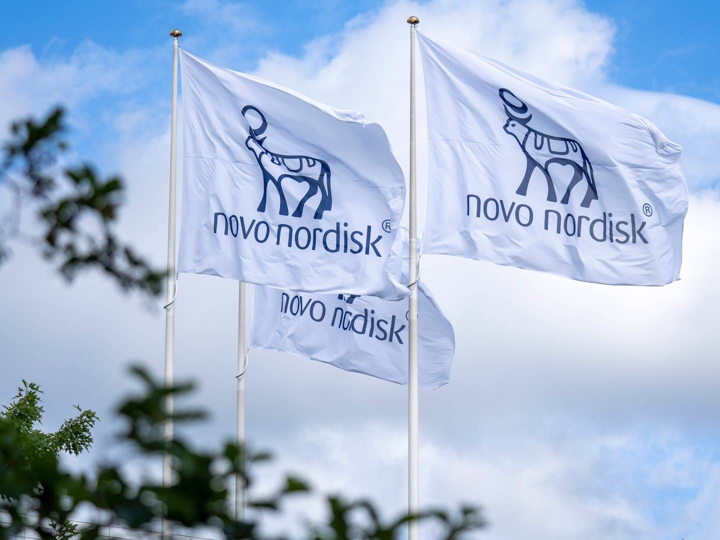 NÅDDE MÅL: Novo Nordisk har nådd primærendepunktene i fase 3b-studien Pioneer Plus. | Photo: Novo Nordisk / Pr