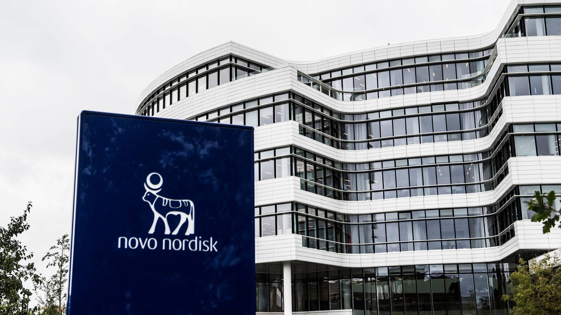 Novo Nordisk satser i disse år stort på kunstig intelligens i sin forskning- og udvikling af nye lægemidler. | Foto: Tidsvilde Stine/Ritzau Scanpix