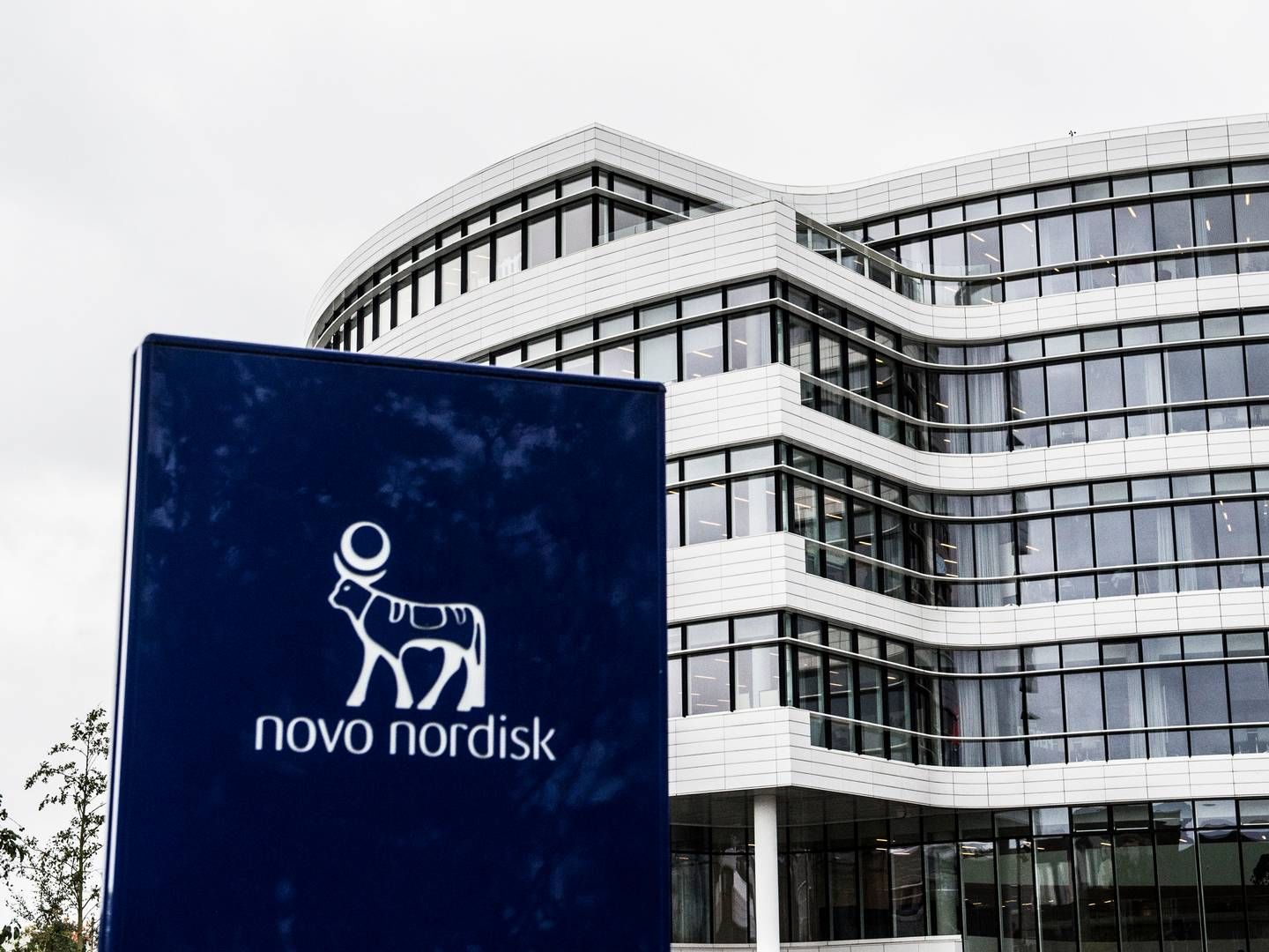 Novo Nordisk satser i disse år stort på kunstig intelligens i sin forskning- og udvikling af nye lægemidler. | Foto: Tidsvilde Stine/Ritzau Scanpix