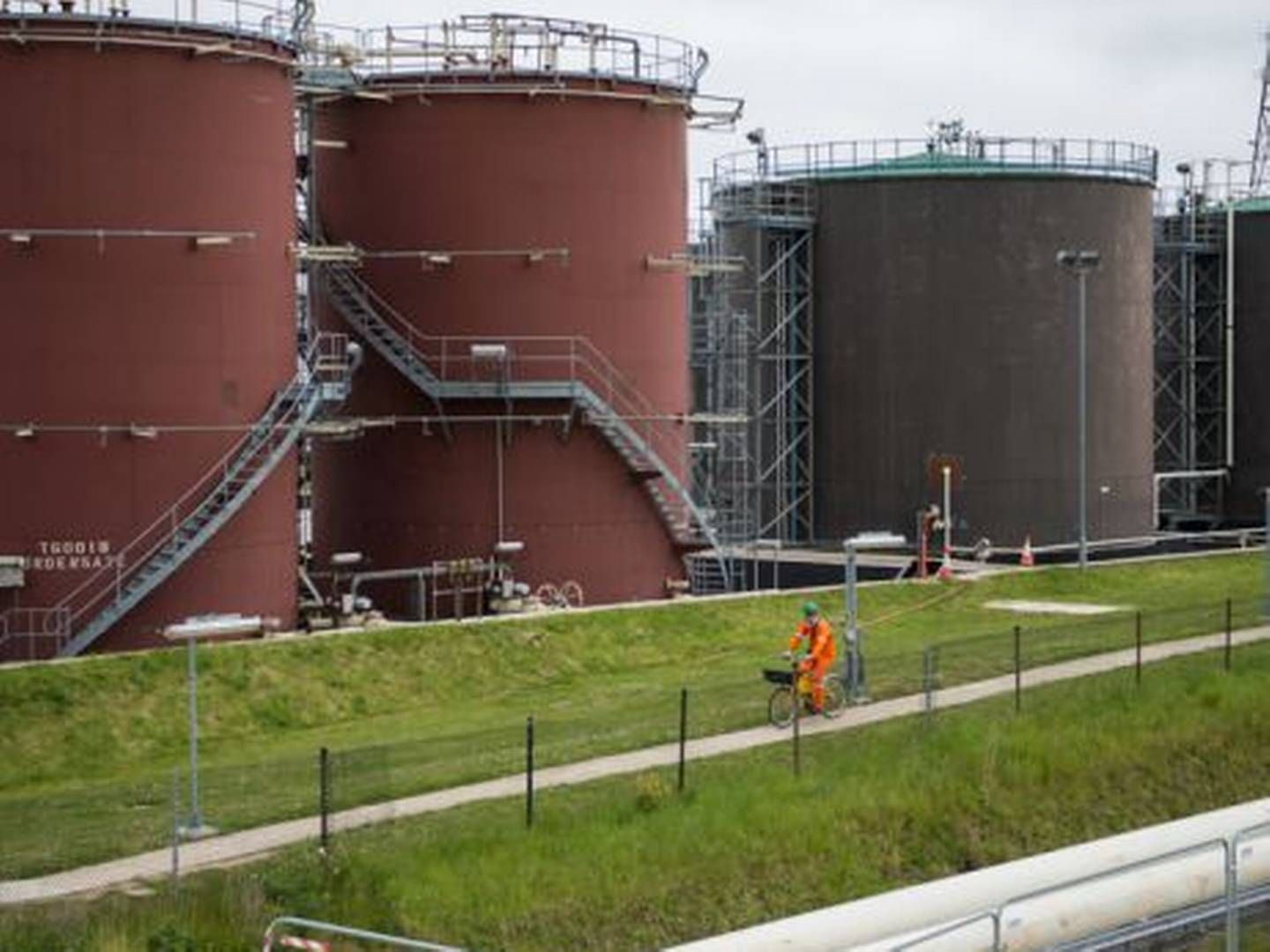 Foto: Pr Perenco