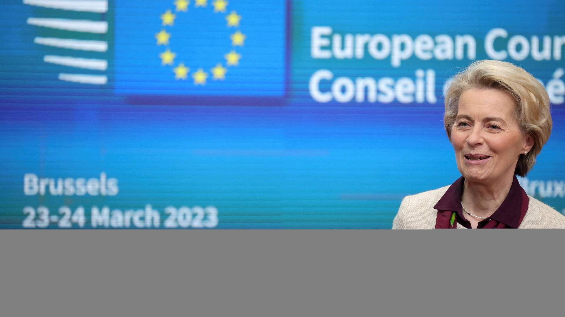 Ursula von der Leyen står i spidsen for EU-Kommissionen.