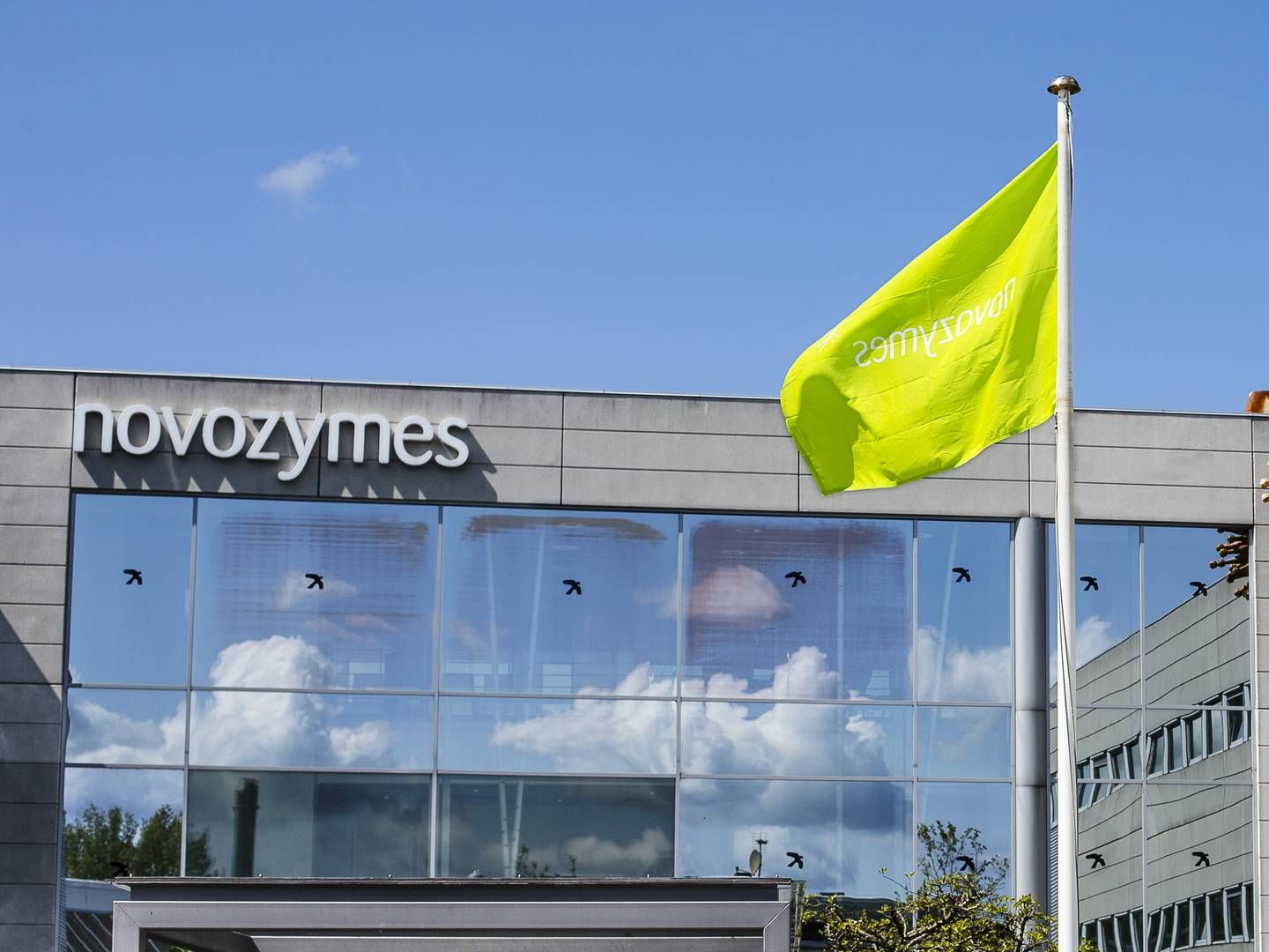 Foto: Novozymes/pr