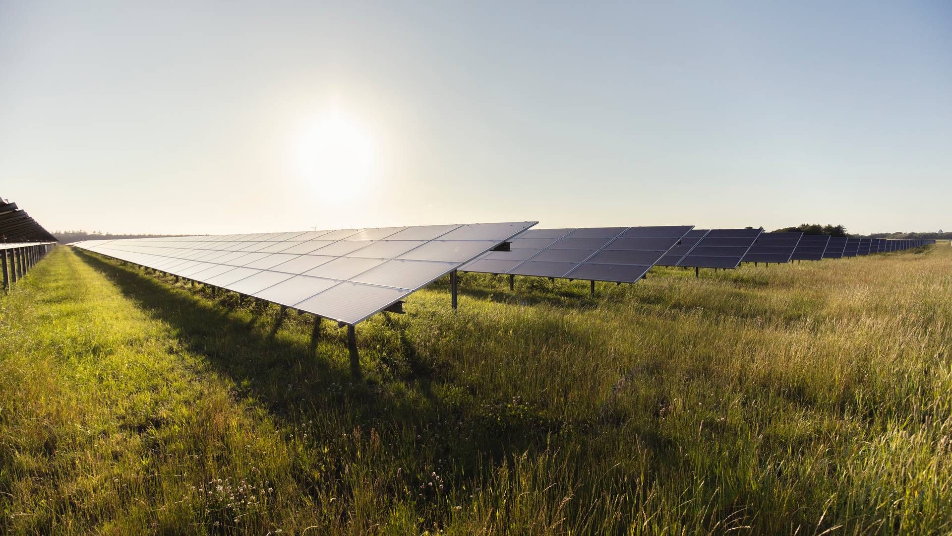 Better Energy har valgt Caverion Danmark til at stå for installation af højspændingsanlæg på nye solcelleparker. | Foto: Better Energy